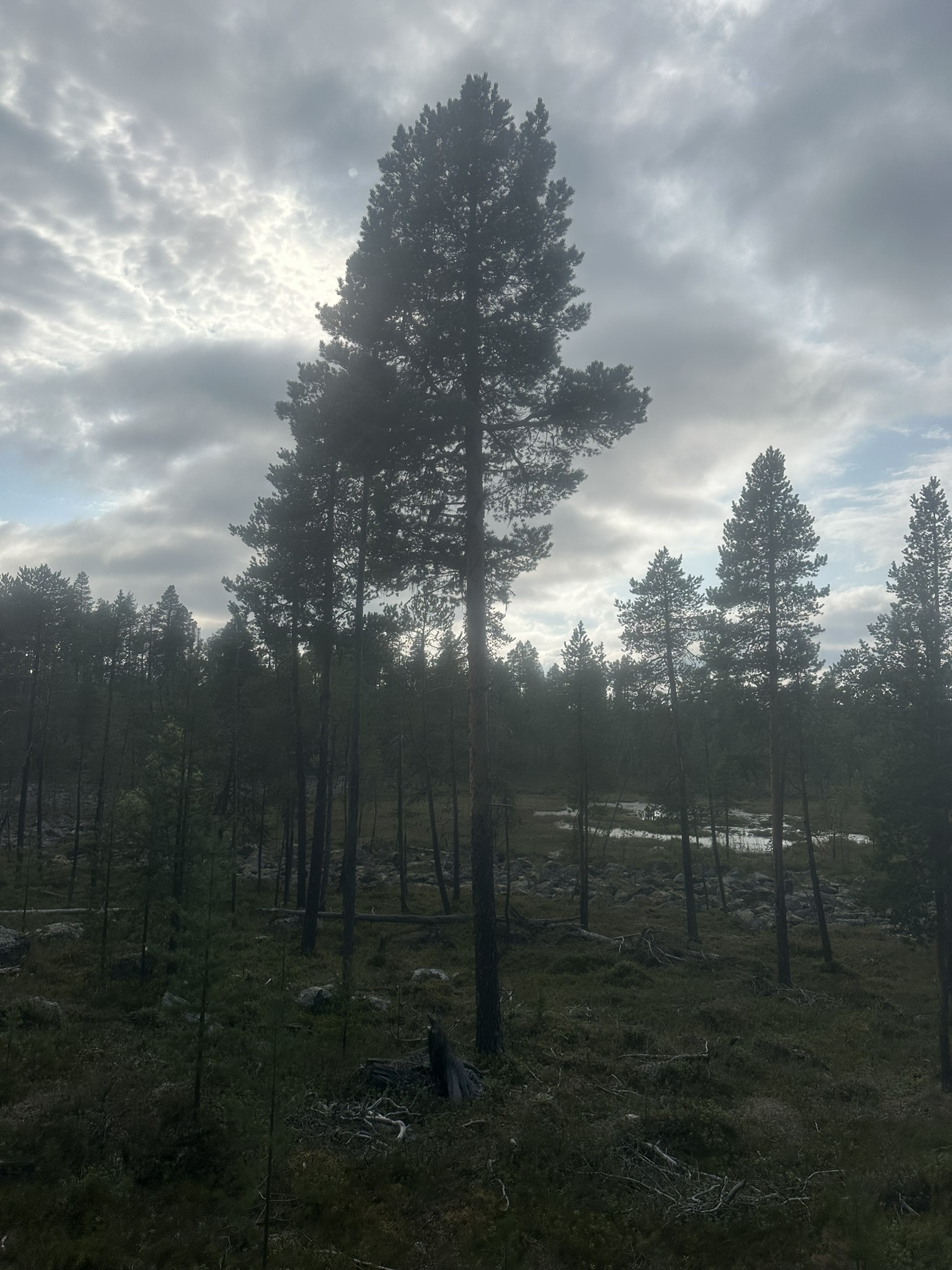Norway-Sweden-Finland-Denmark - Image 488
