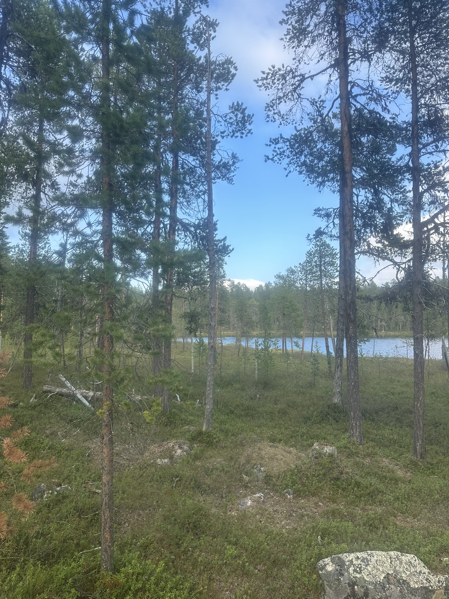 Norway-Sweden-Finland-Denmark - Image 492