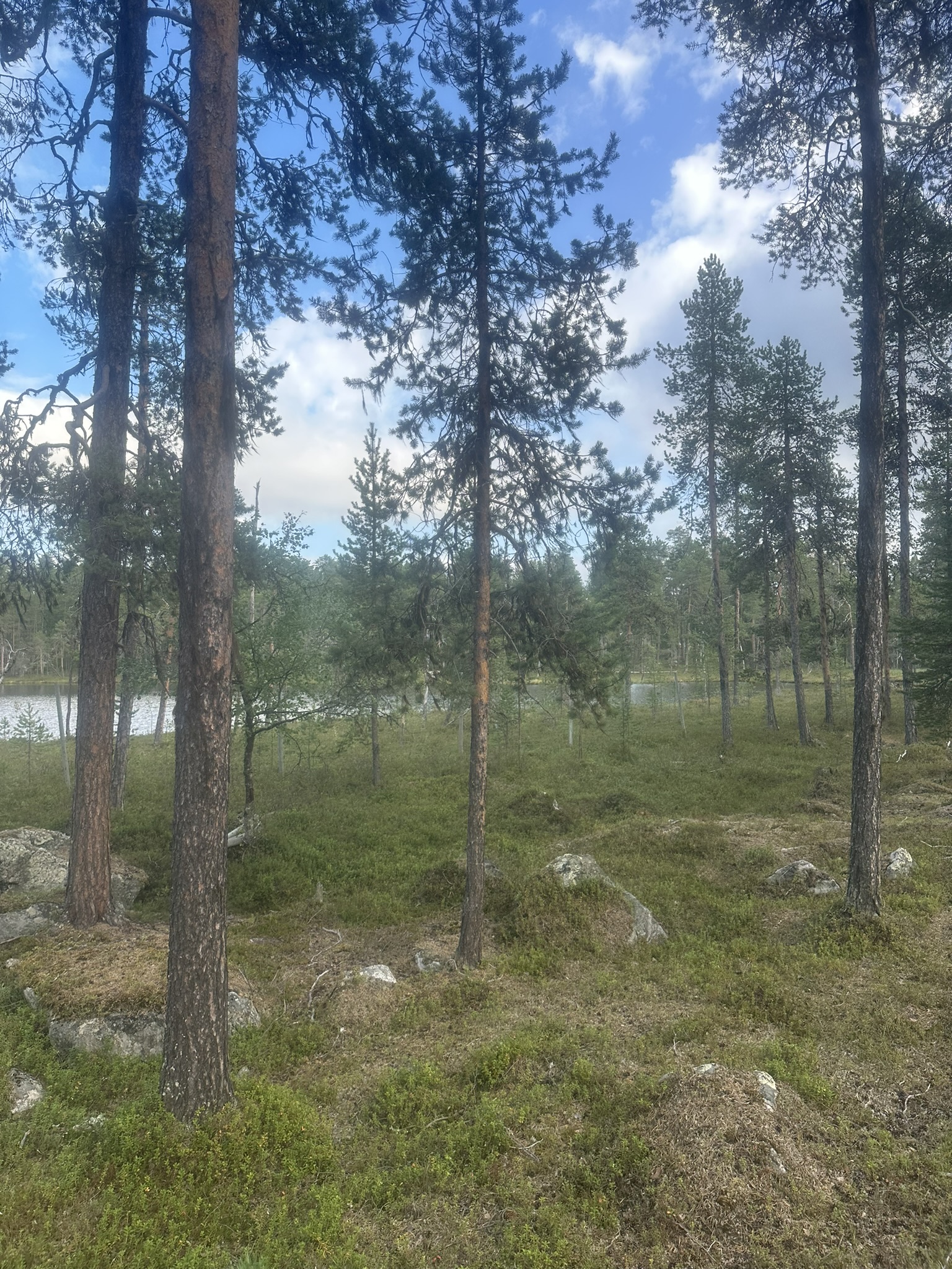 Norway-Sweden-Finland-Denmark - Image 493