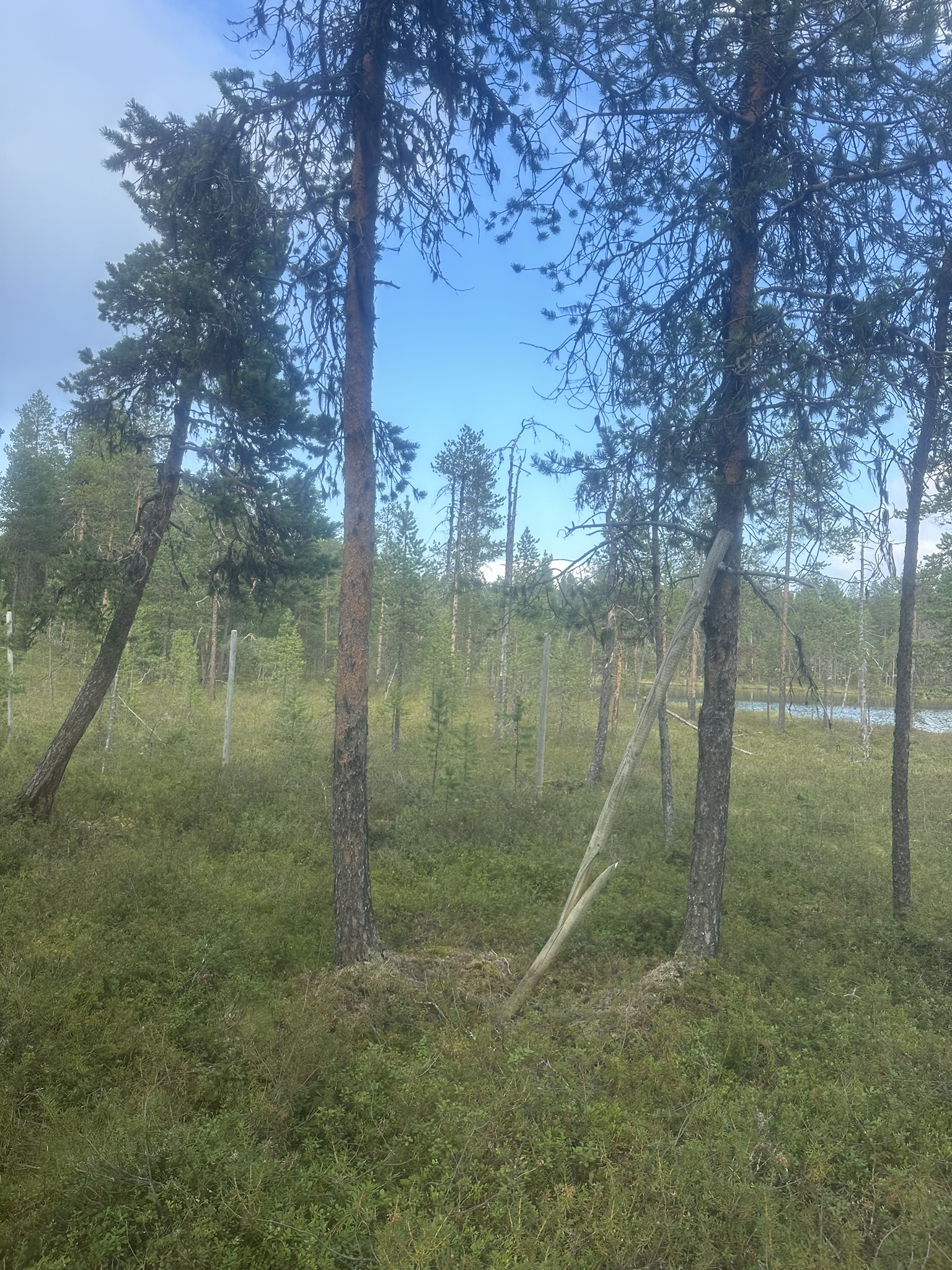 Norway-Sweden-Finland-Denmark - Image 495
