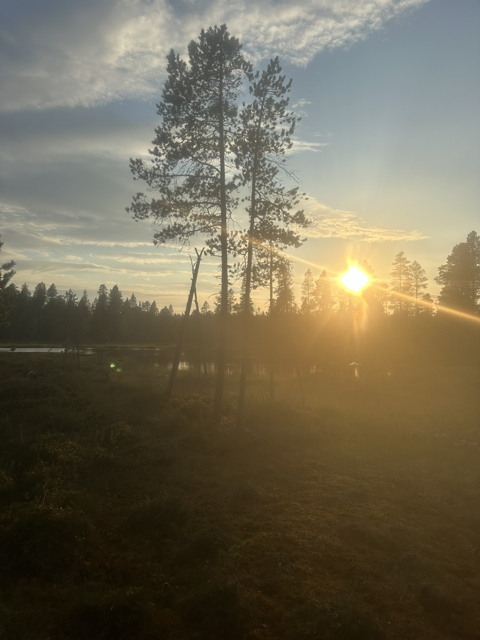 Norway-Sweden-Finland-Denmark - Image 507