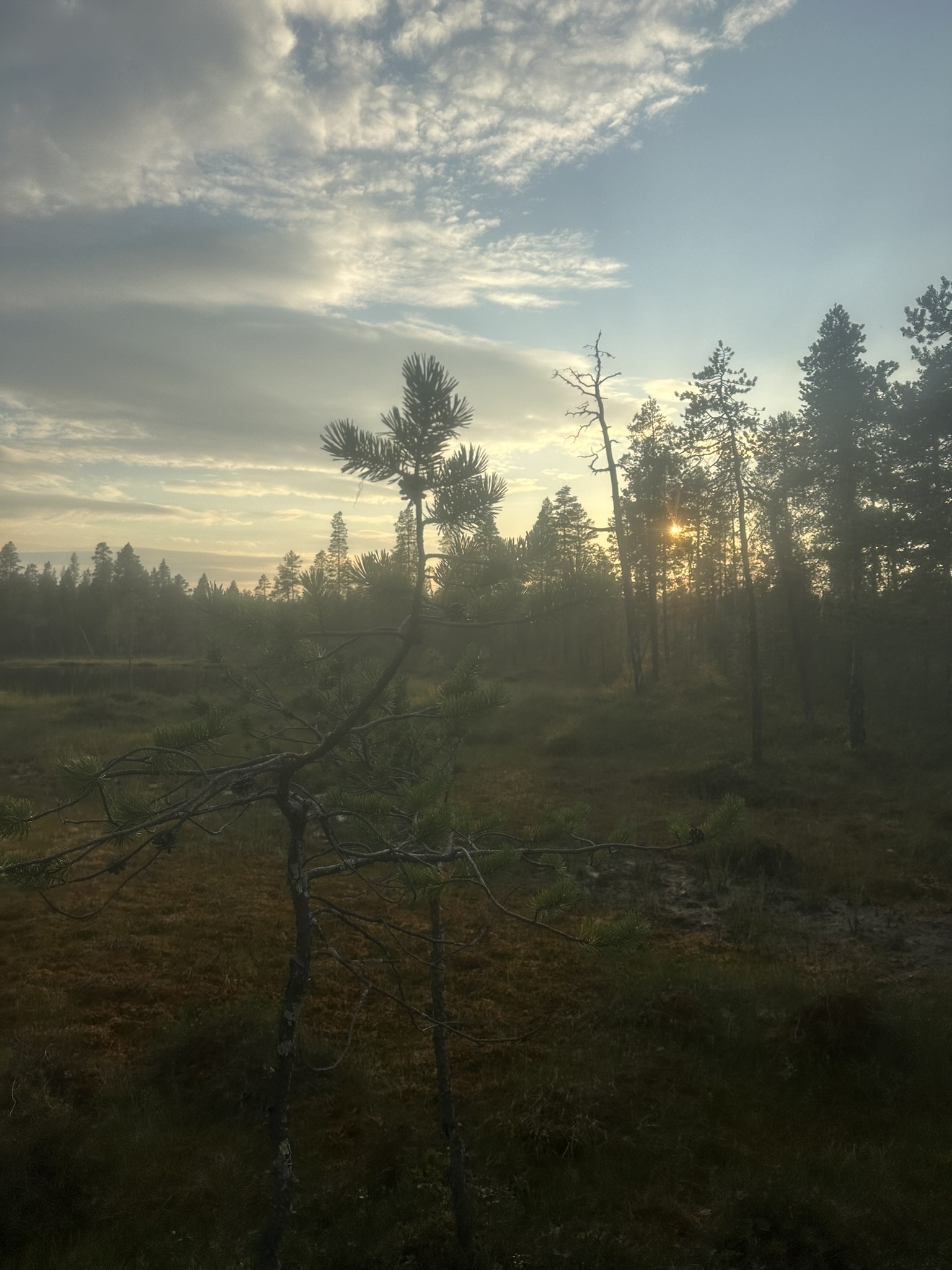 Norway-Sweden-Finland-Denmark - Image 512