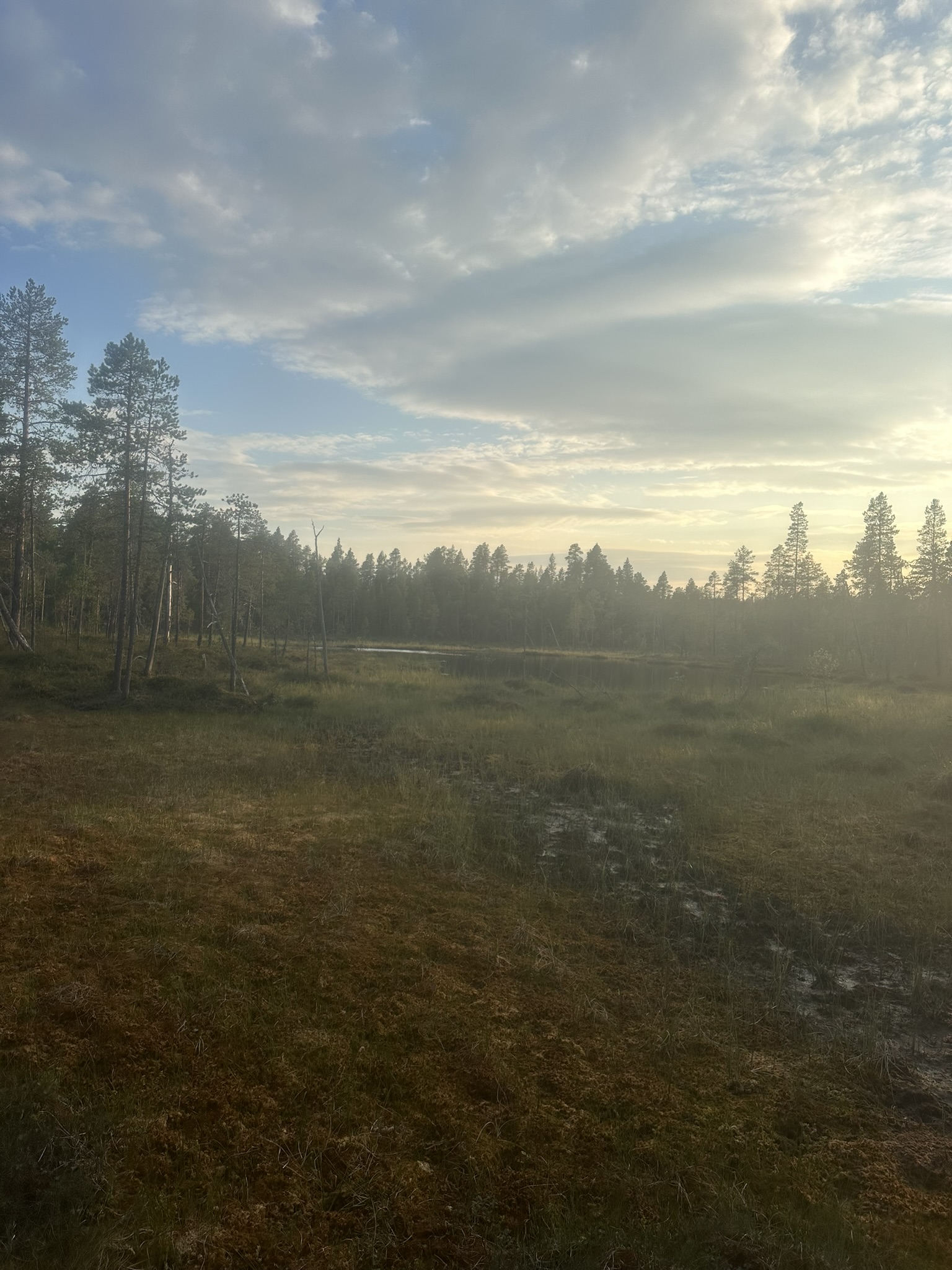 Norway-Sweden-Finland-Denmark - Image 515