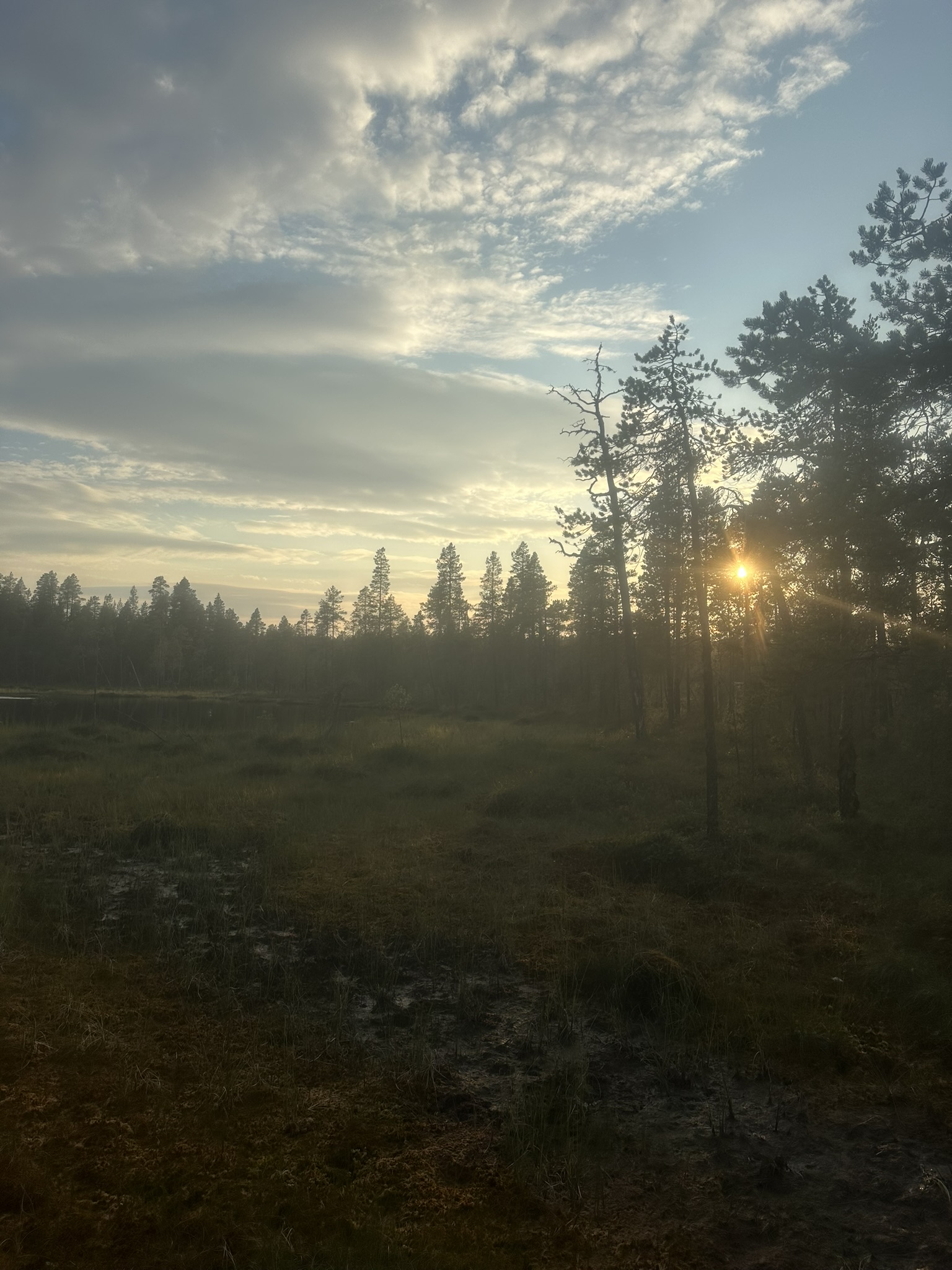 Norway-Sweden-Finland-Denmark - Image 517