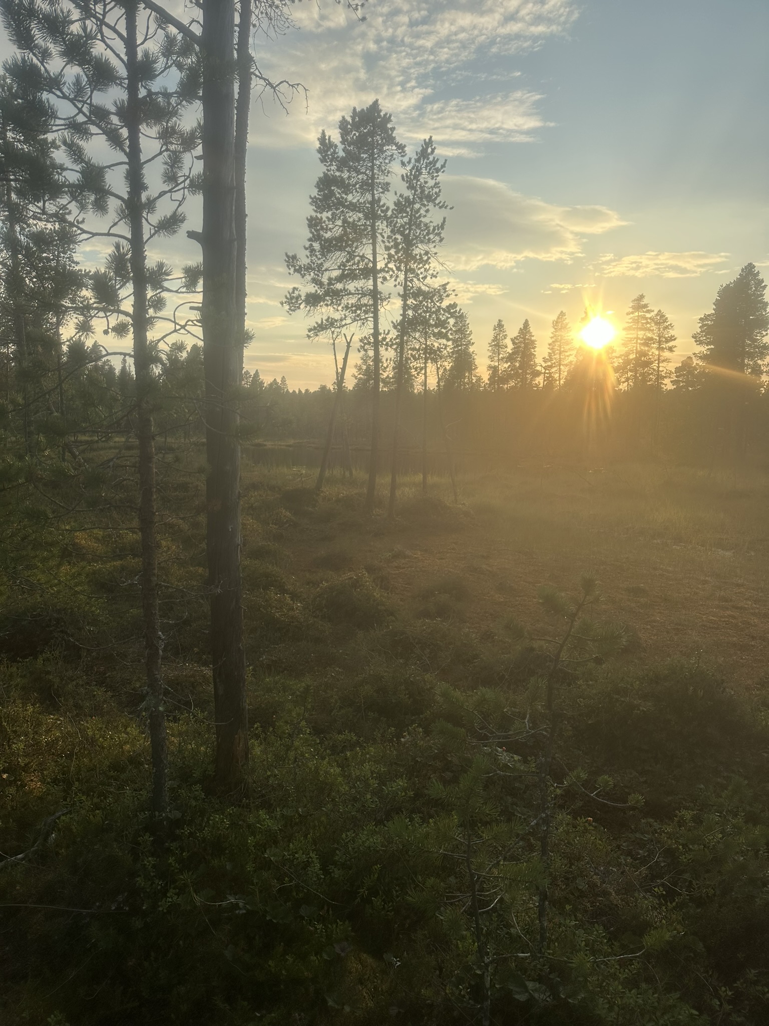 Norway-Sweden-Finland-Denmark - Image 520