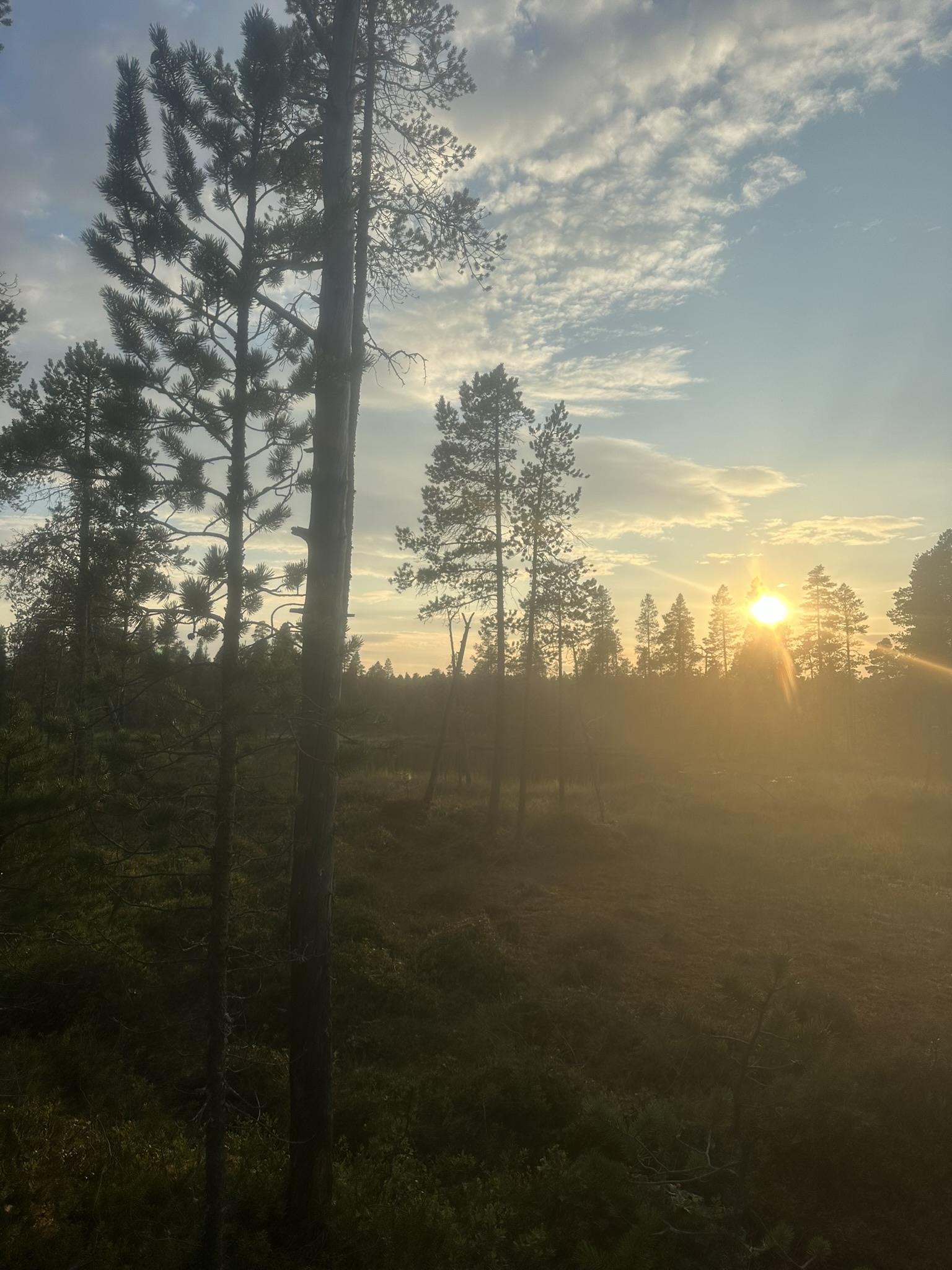 Norway-Sweden-Finland-Denmark - Image 521