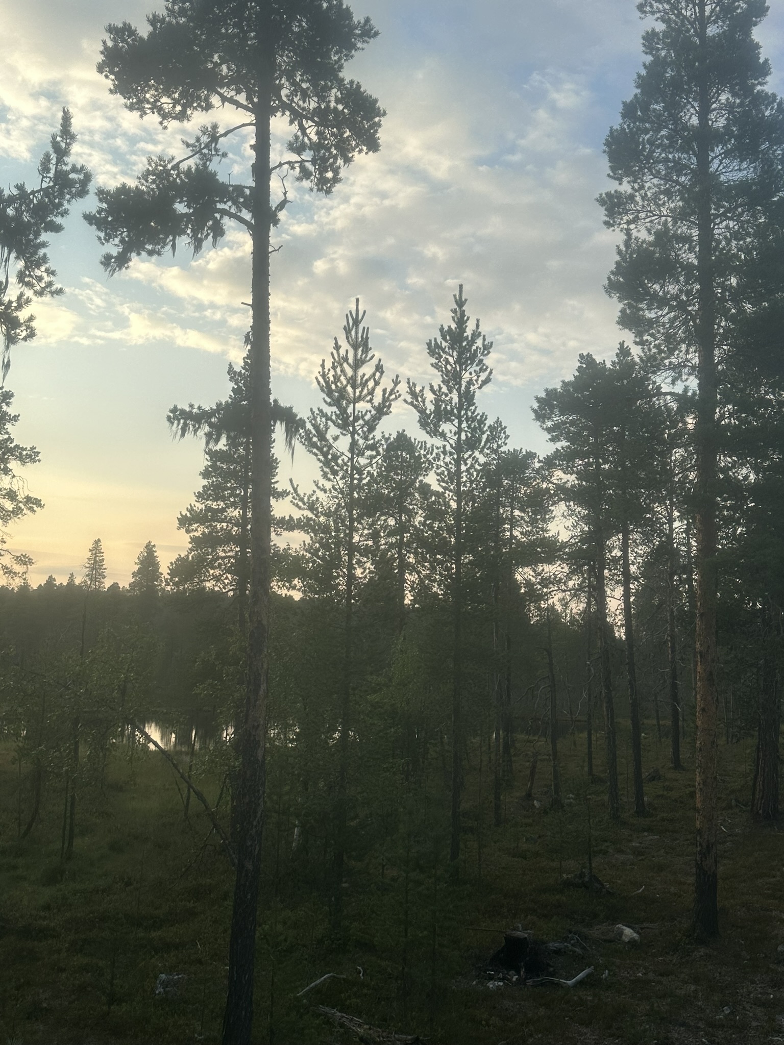 Norway-Sweden-Finland-Denmark - Image 527