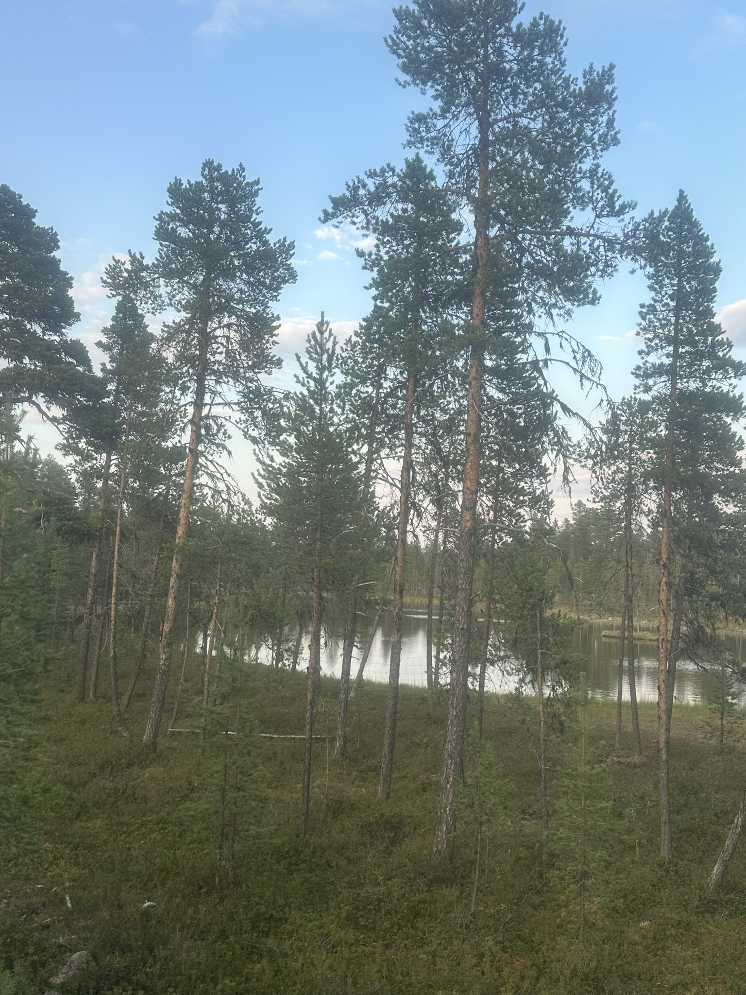 Norway-Sweden-Finland-Denmark - Image 528