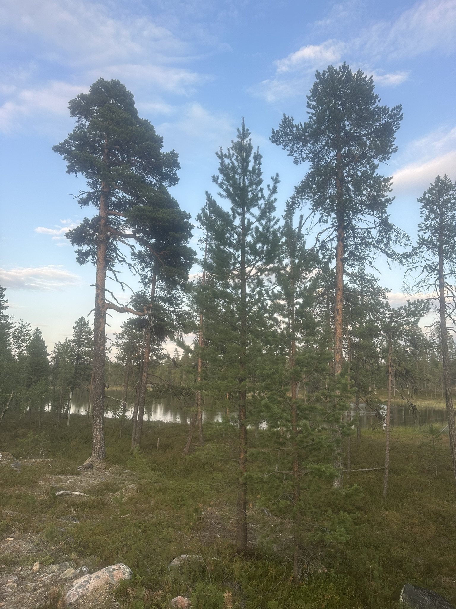 Norway-Sweden-Finland-Denmark - Image 532