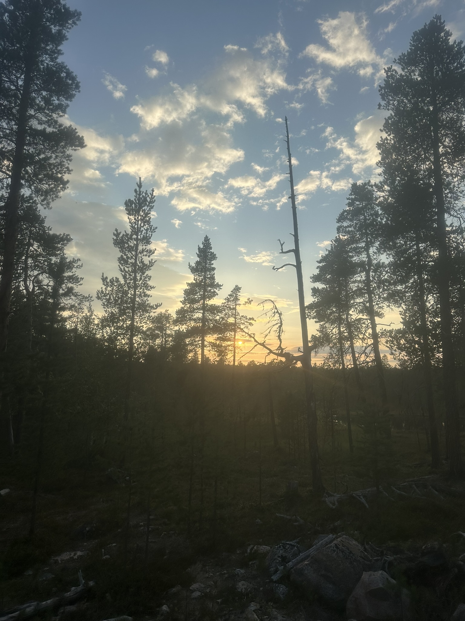Norway-Sweden-Finland-Denmark - Image 533