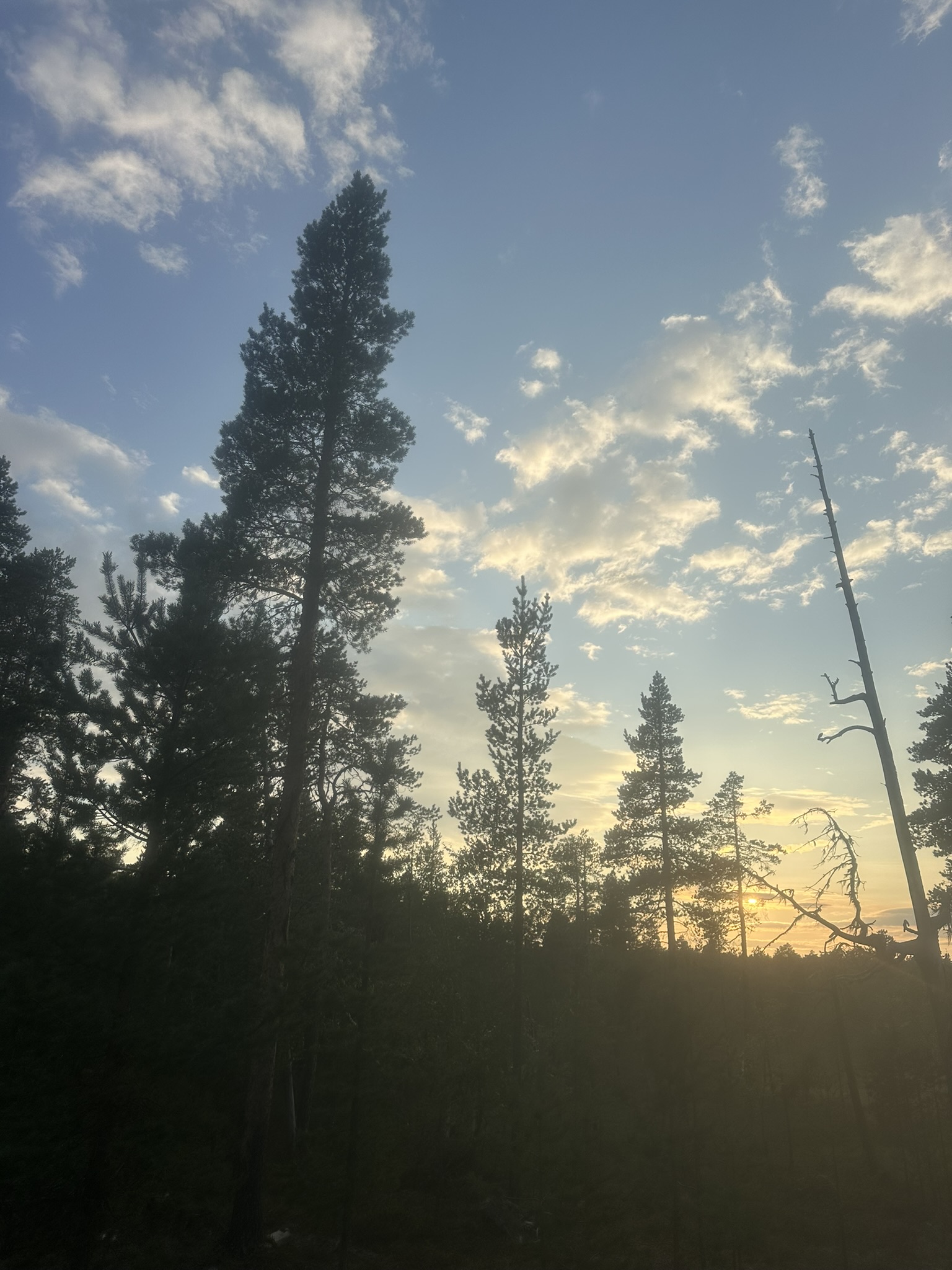 Norway-Sweden-Finland-Denmark - Image 535