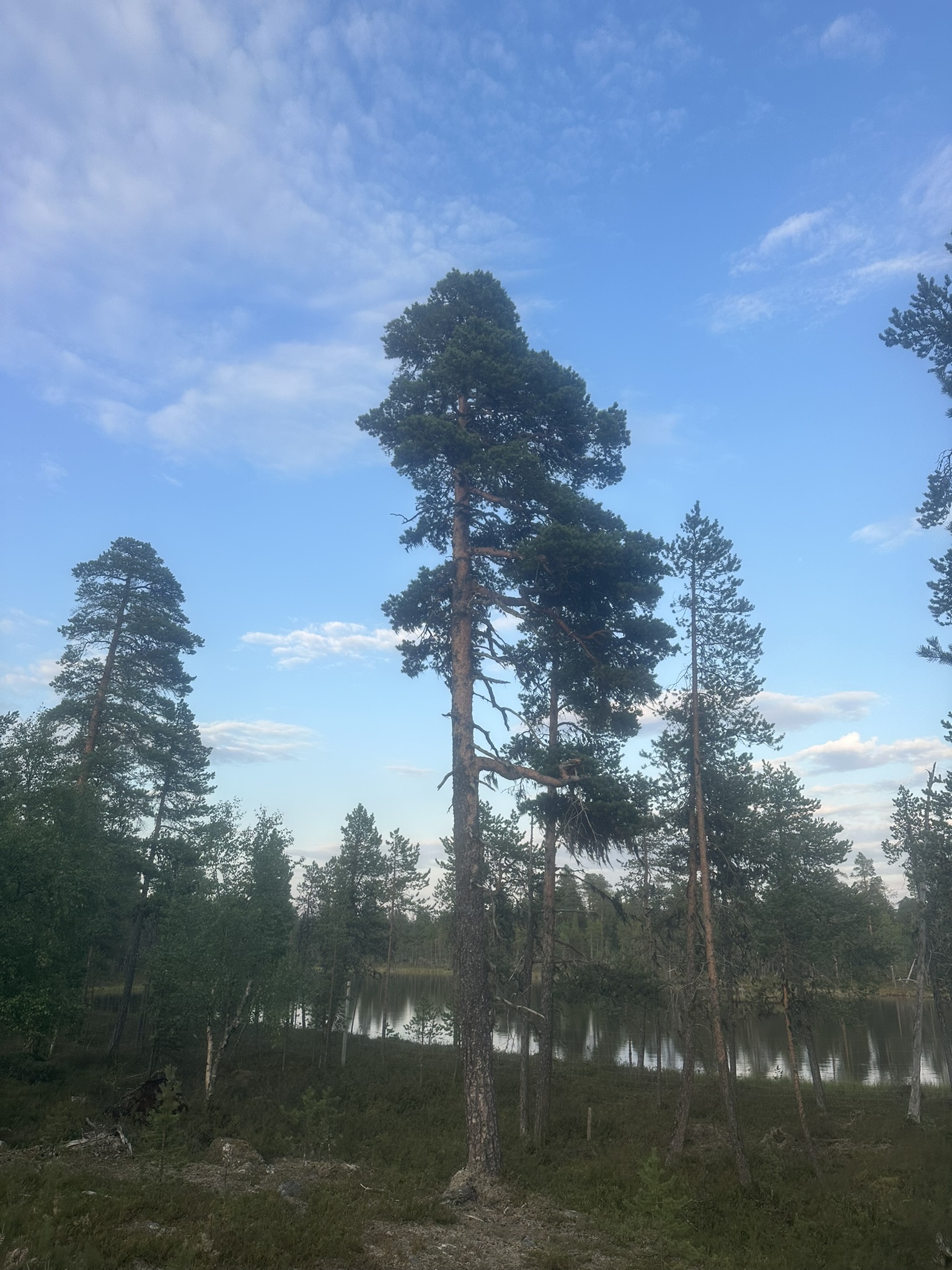 Norway-Sweden-Finland-Denmark - Image 536