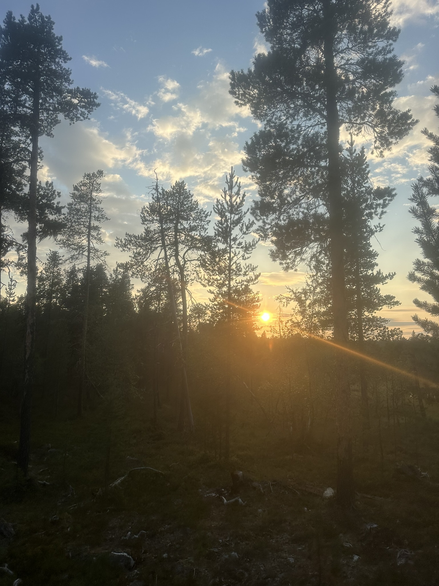 Norway-Sweden-Finland-Denmark - Image 539