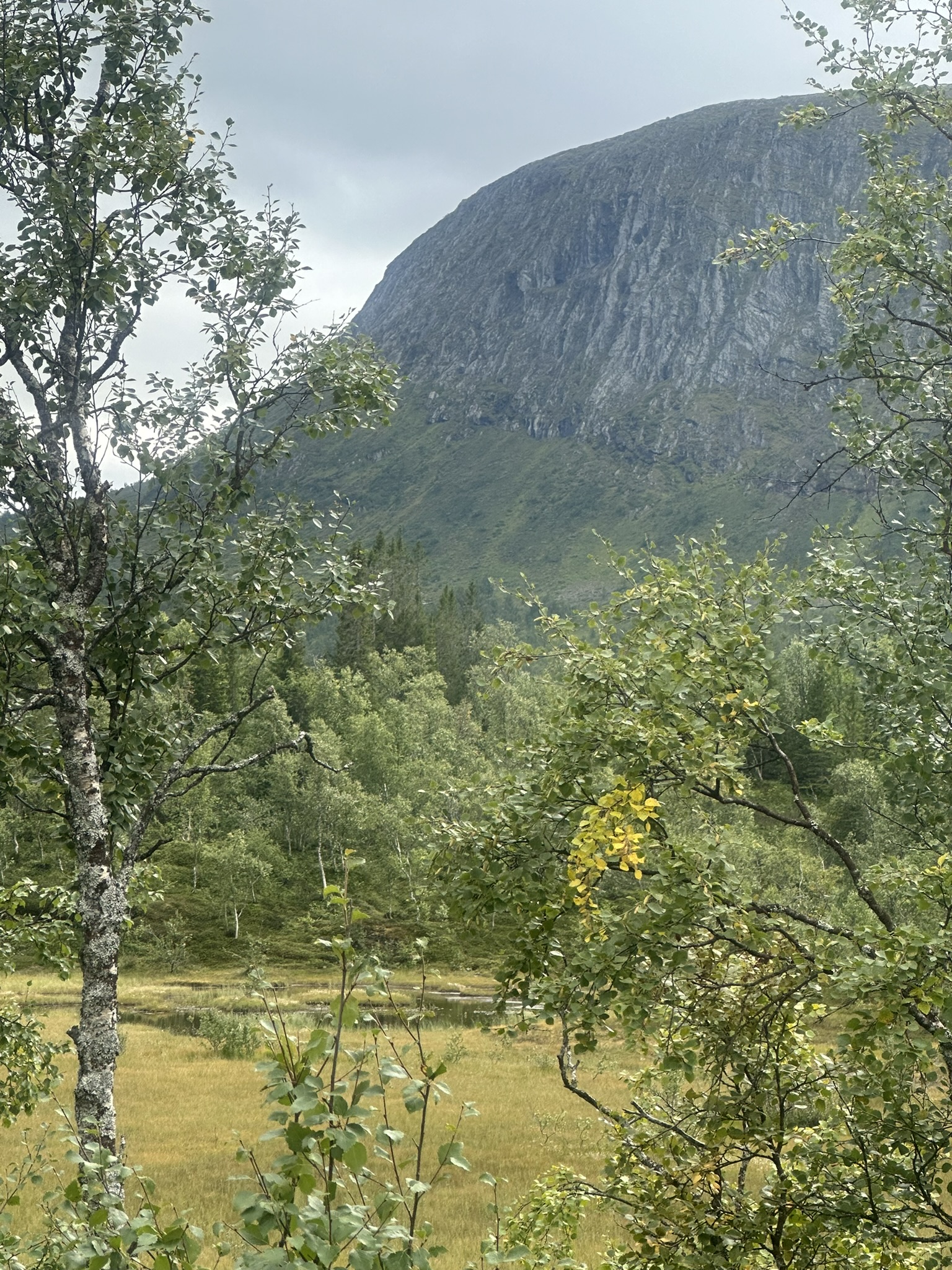 Norway-Sweden-Finland-Denmark - Image 568