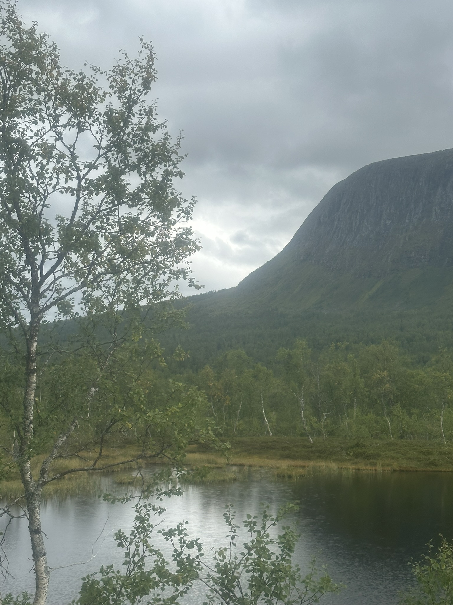 Norway-Sweden-Finland-Denmark - Image 573