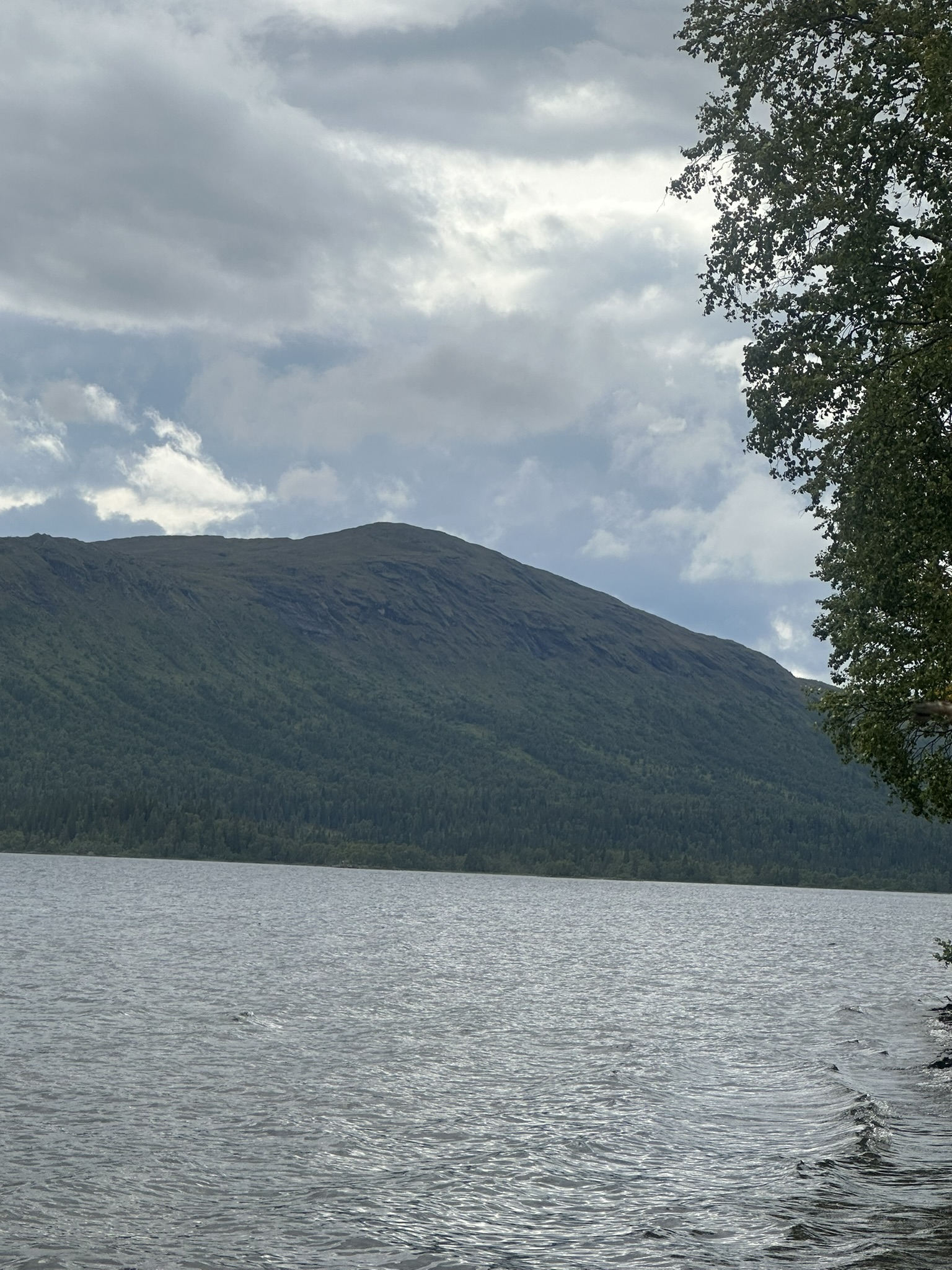 Norway-Sweden-Finland-Denmark - Image 585