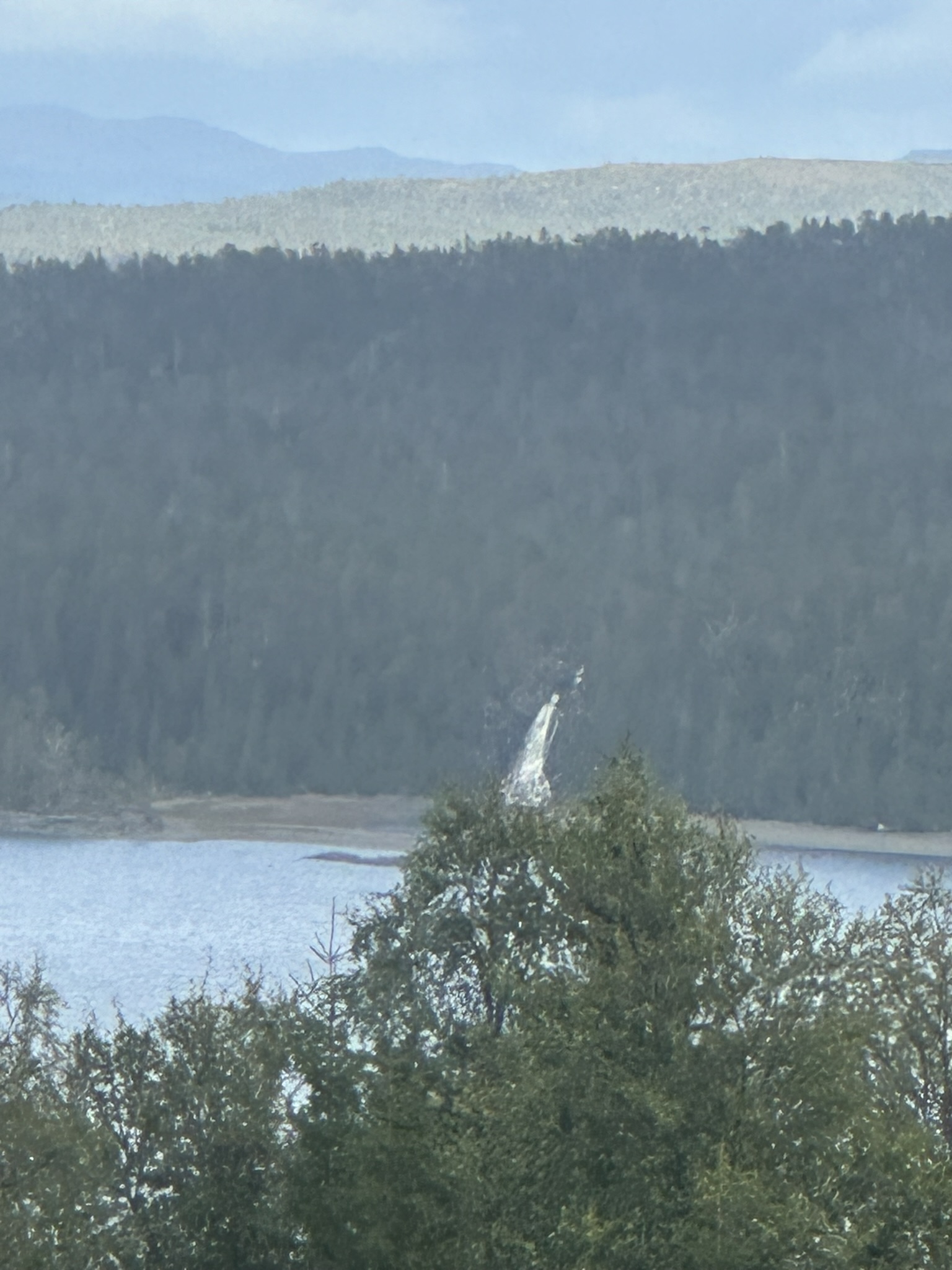 Norway-Sweden-Finland-Denmark - Image 600
