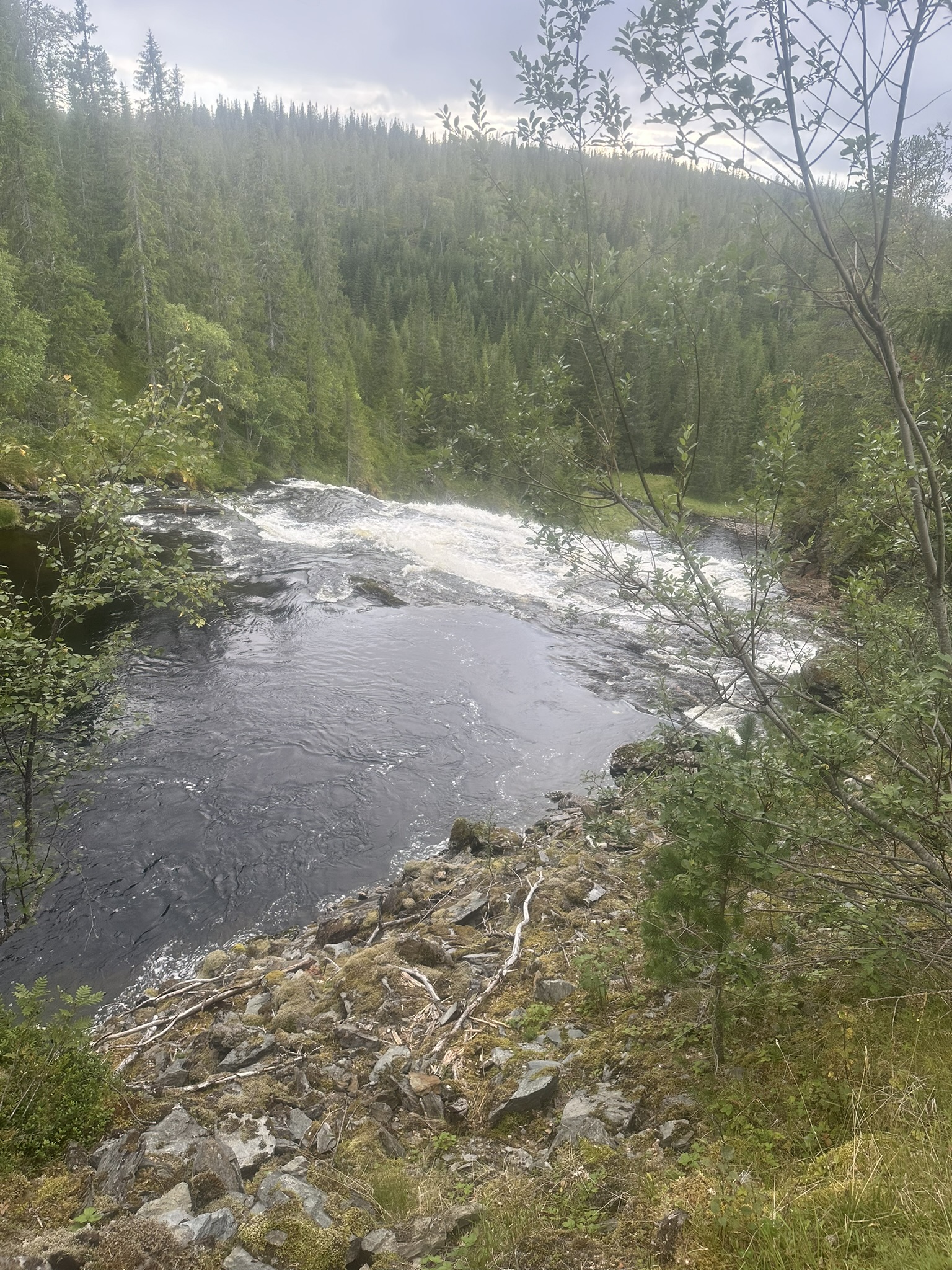 Norway-Sweden-Finland-Denmark - Image 606
