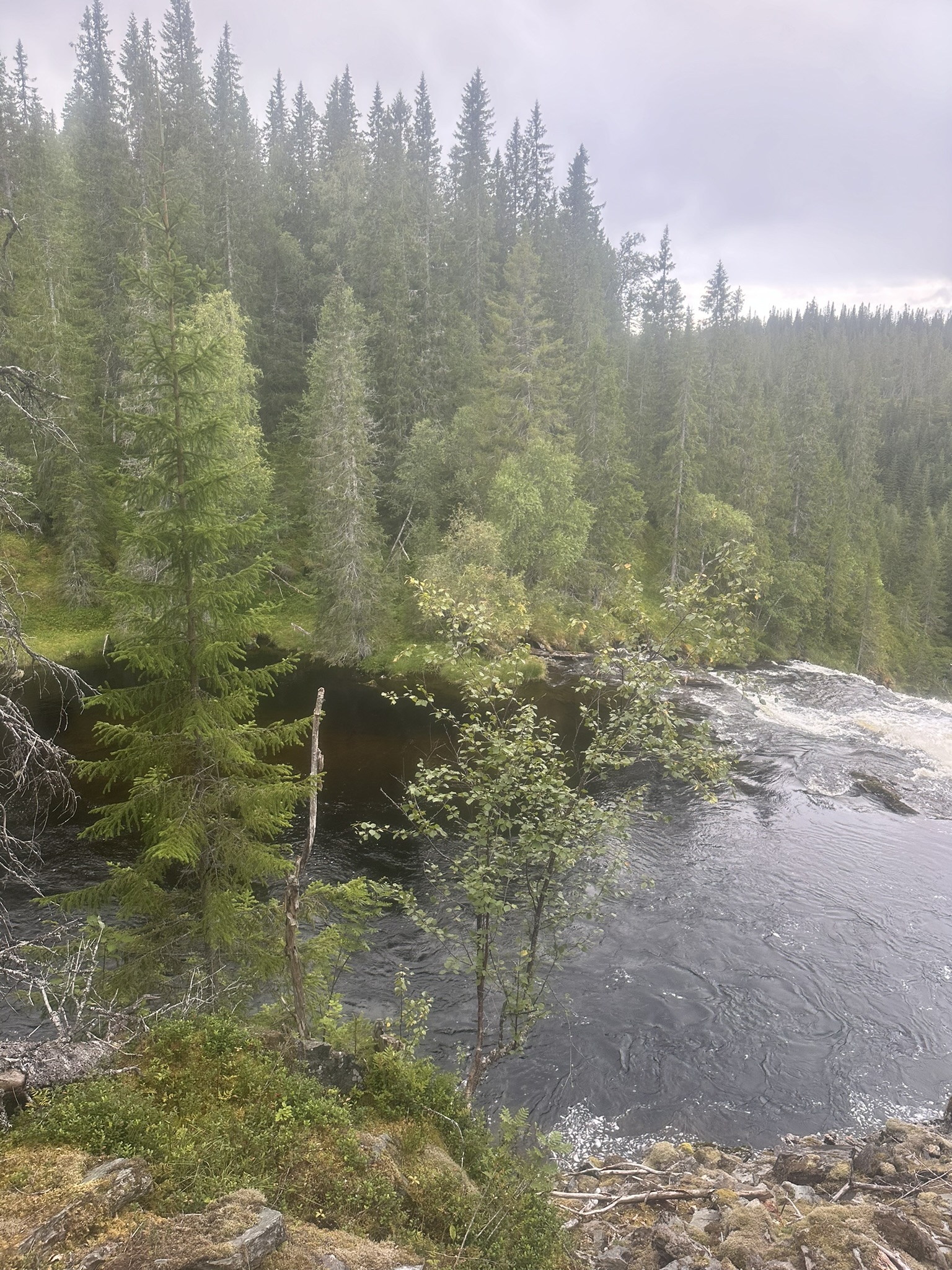 Norway-Sweden-Finland-Denmark - Image 607