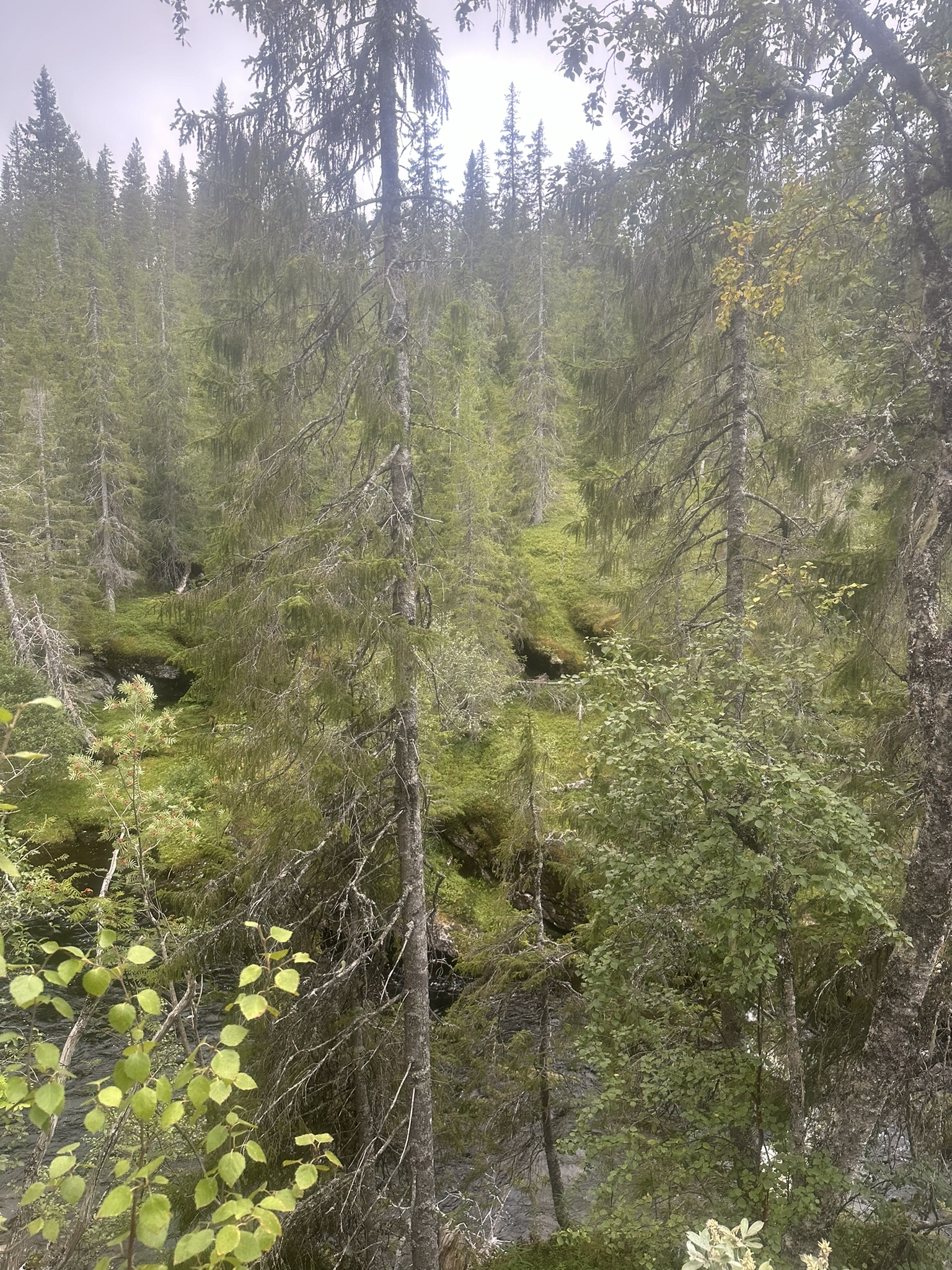 Norway-Sweden-Finland-Denmark - Image 608