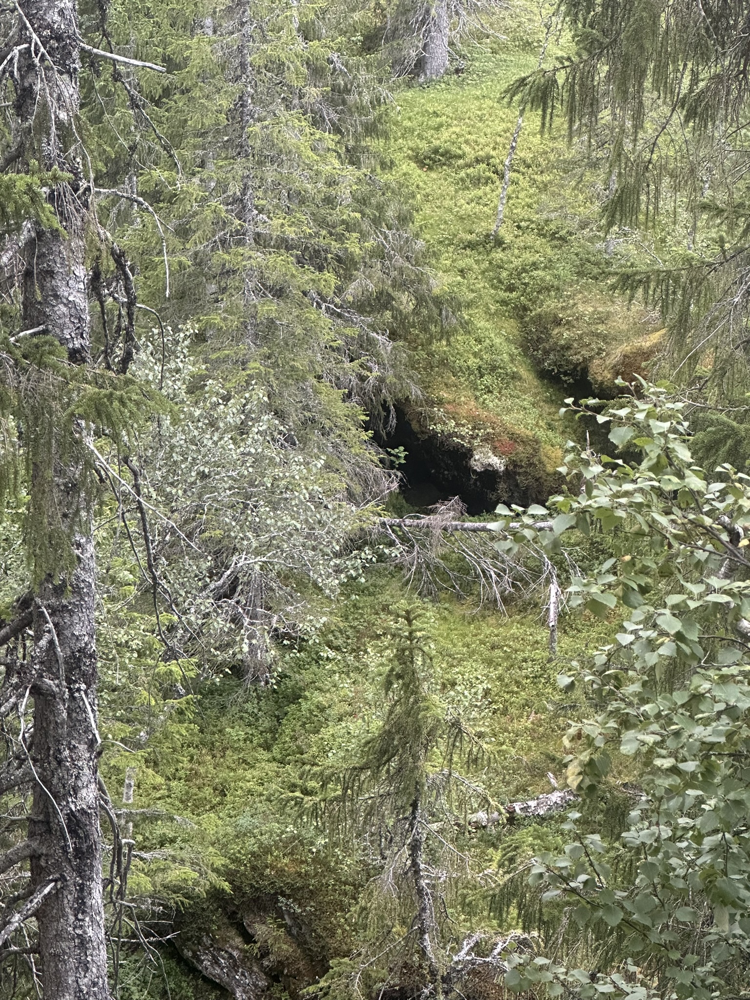 Norway-Sweden-Finland-Denmark - Image 609