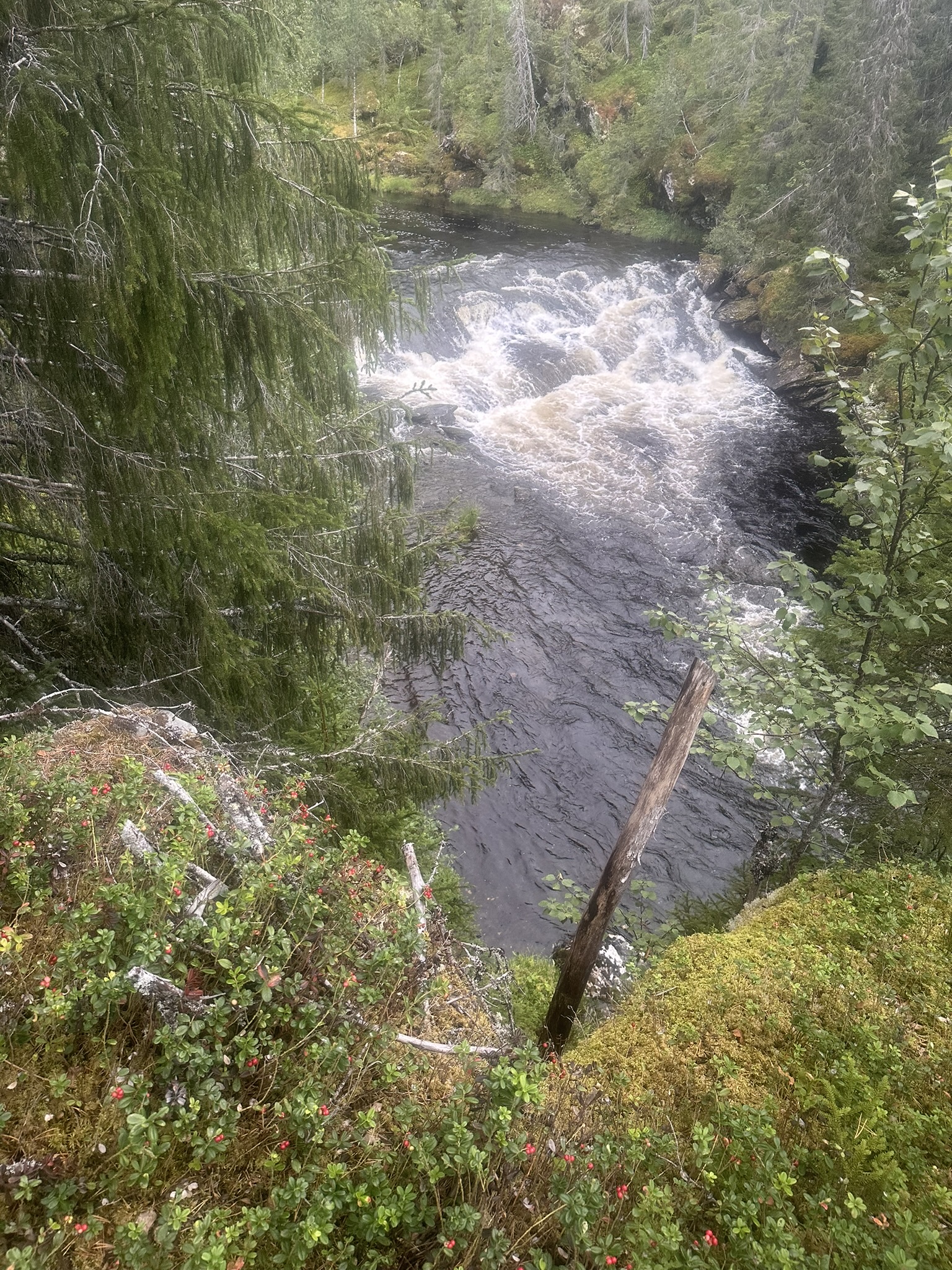 Norway-Sweden-Finland-Denmark - Image 610