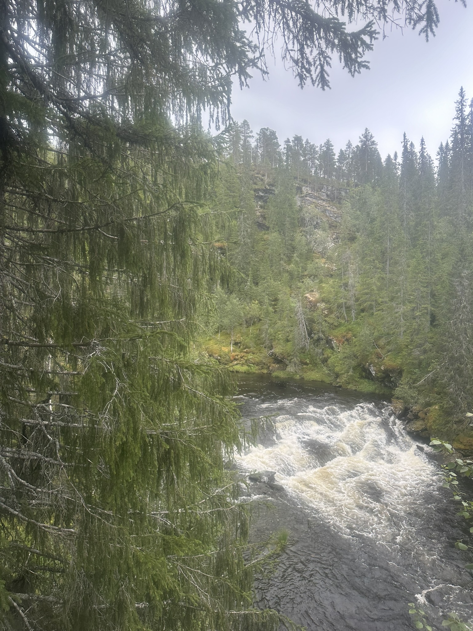 Norway-Sweden-Finland-Denmark - Image 612