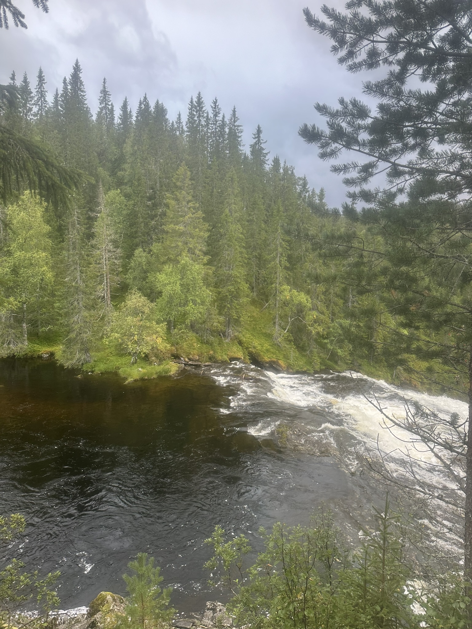 Norway-Sweden-Finland-Denmark - Image 614