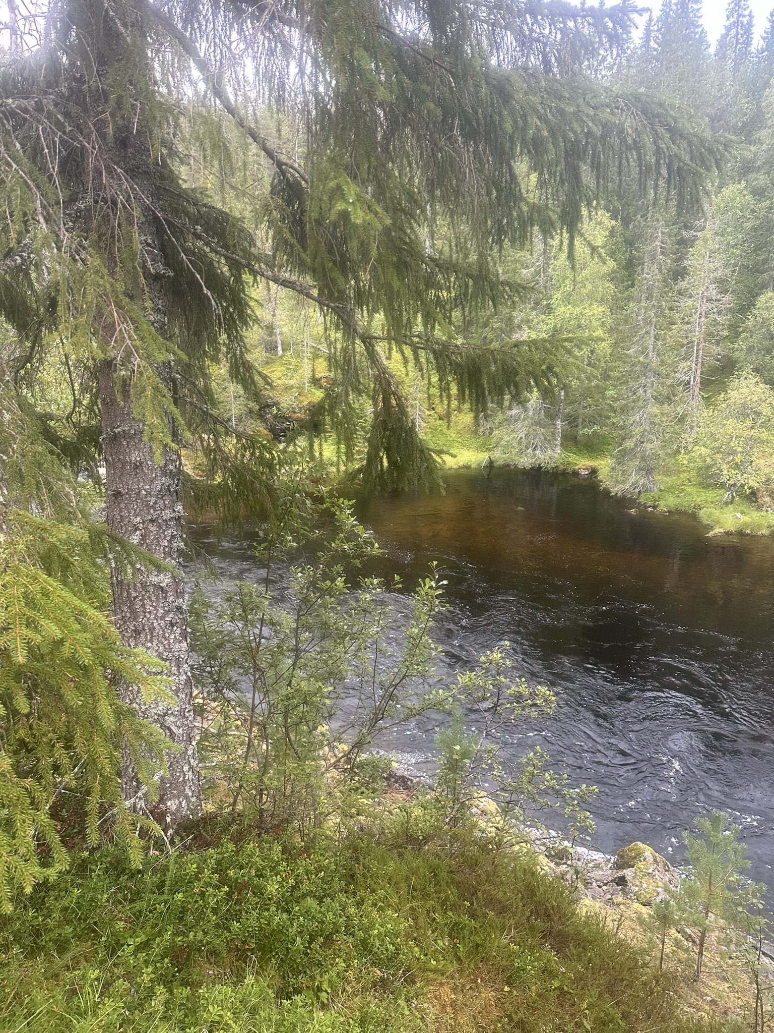 Norway-Sweden-Finland-Denmark - Image 615