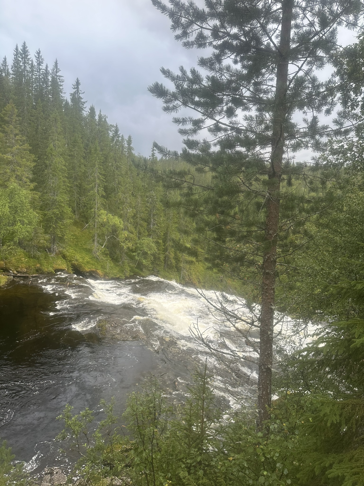 Norway-Sweden-Finland-Denmark - Image 616