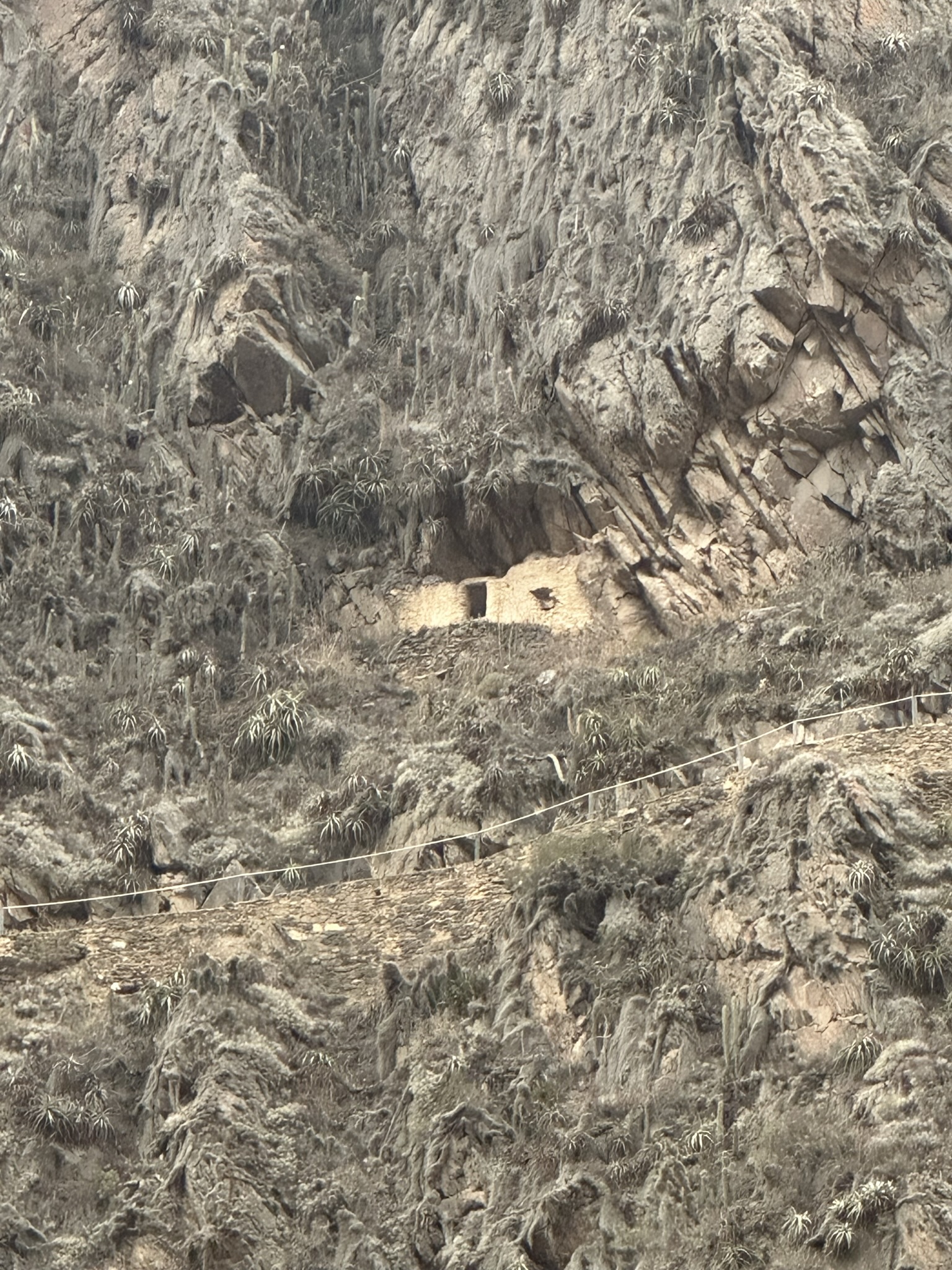 Peru - Image 497