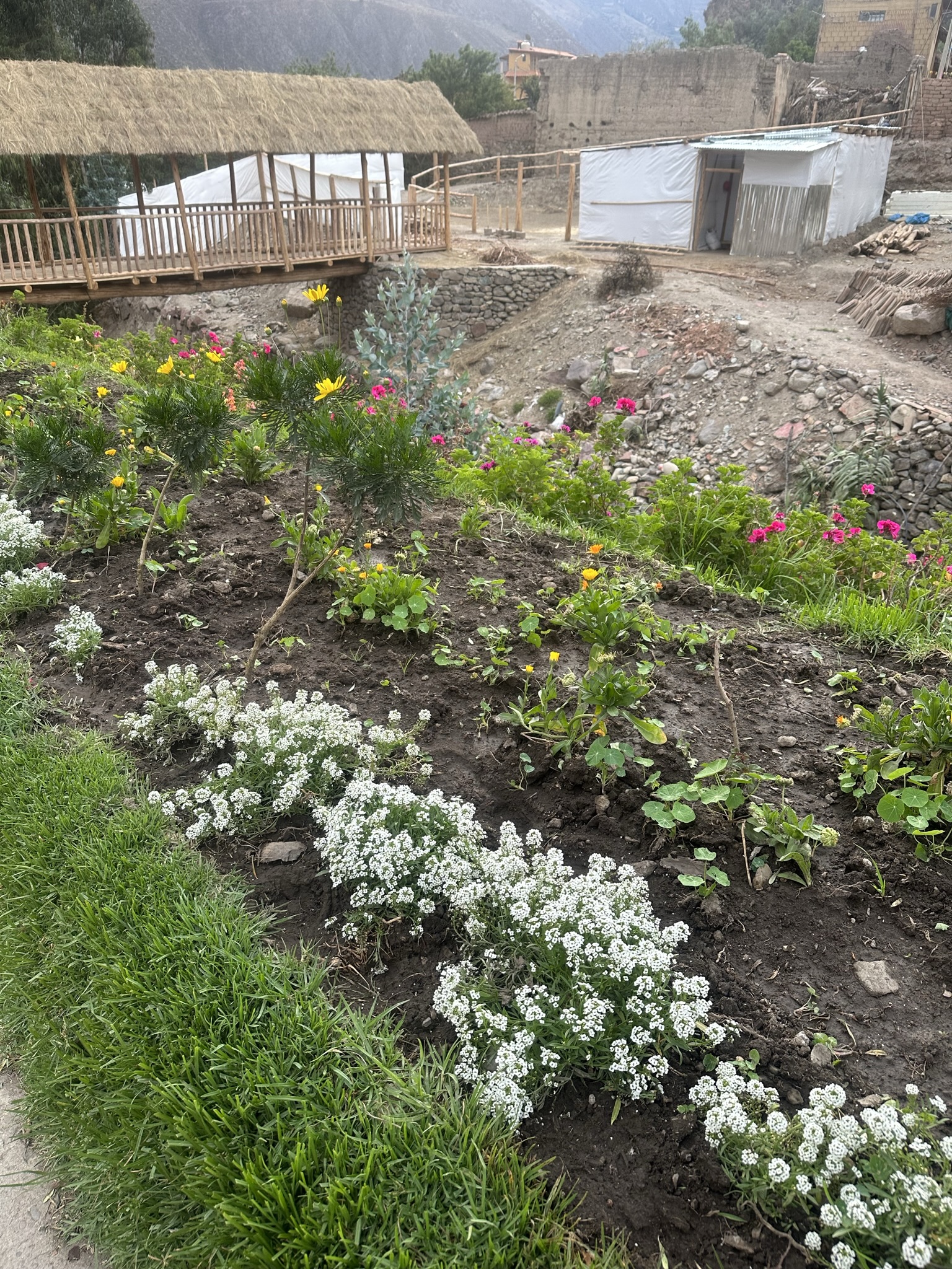 Peru - Image 499