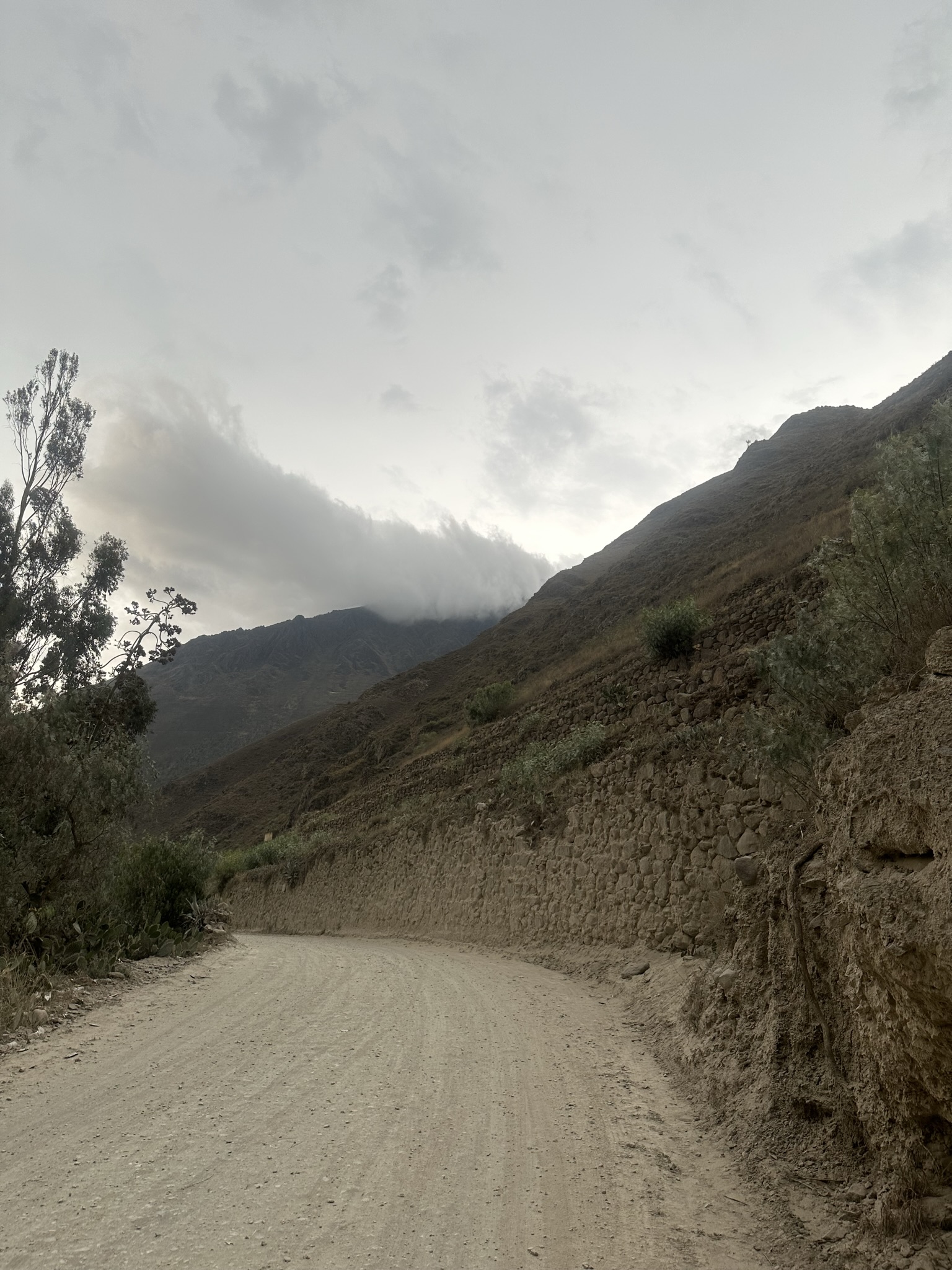 Peru - Image 517
