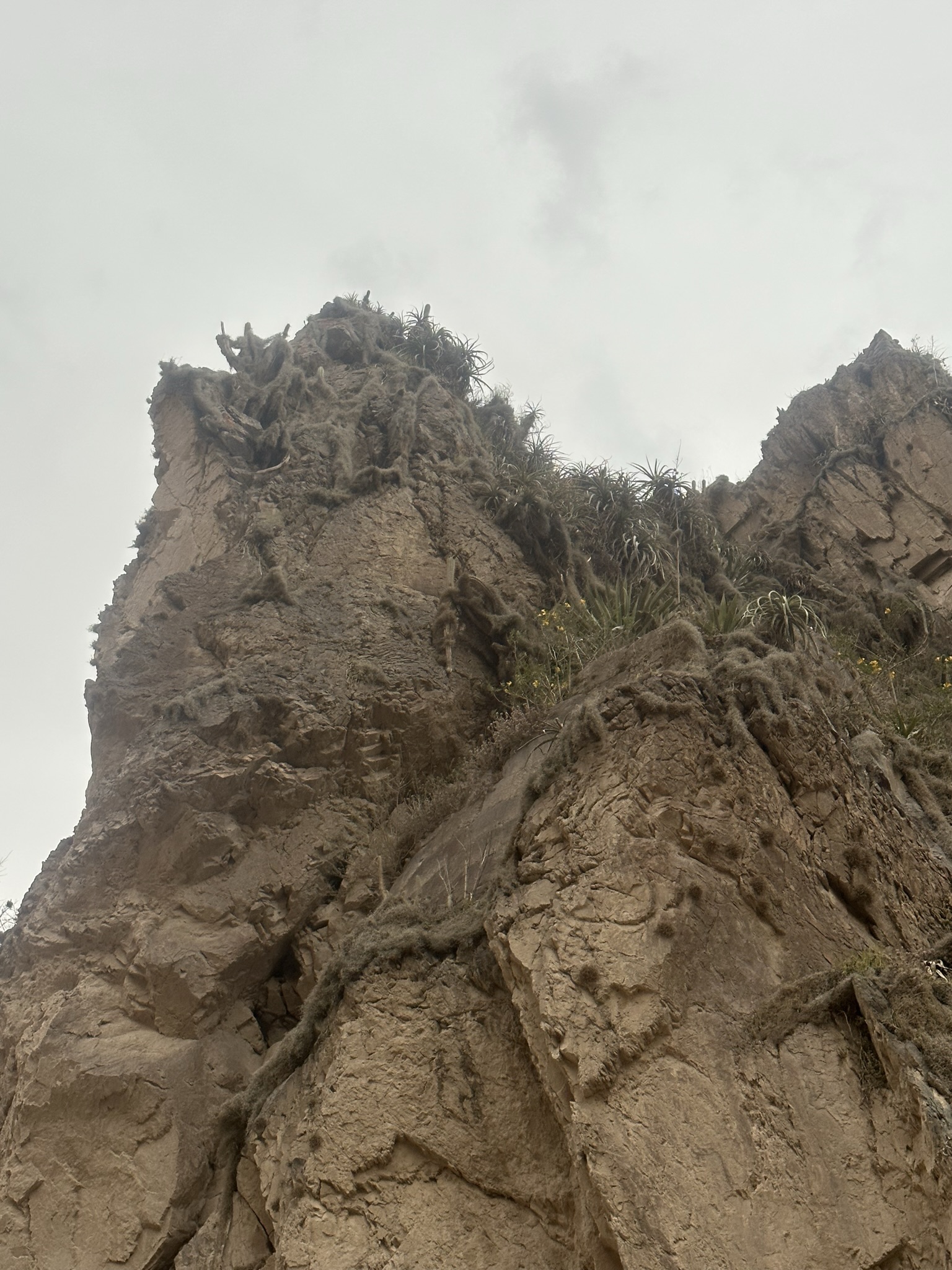 Peru - Image 520