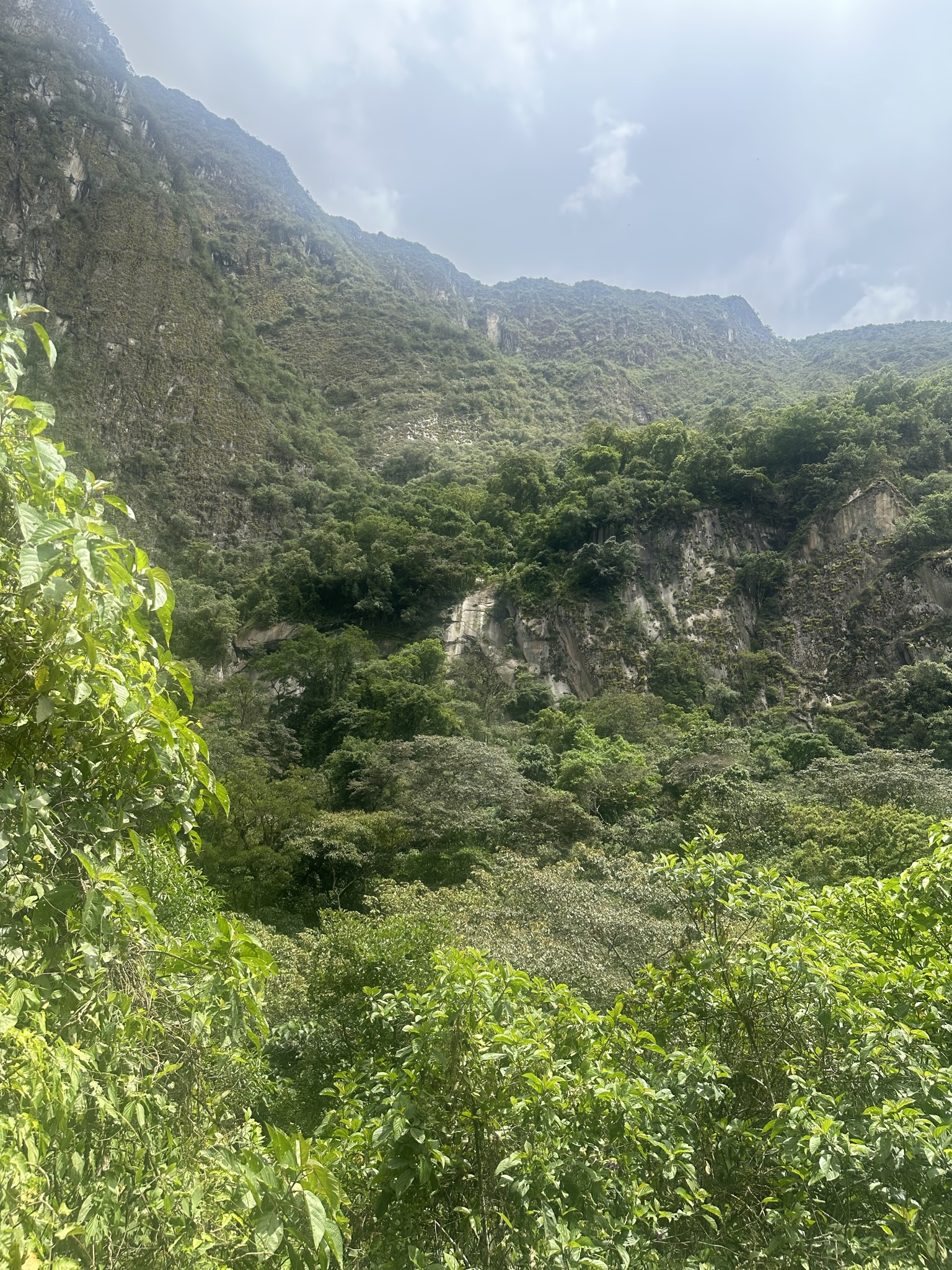 Peru - Image 538