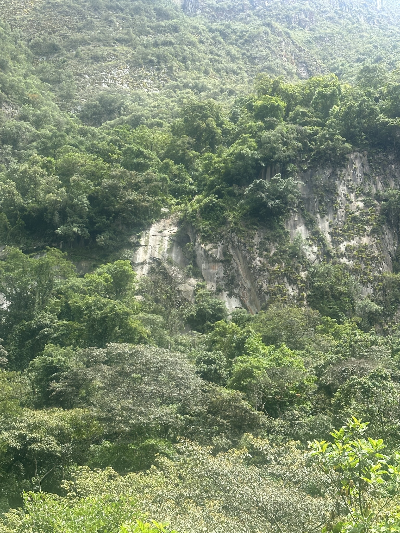 Peru - Image 539