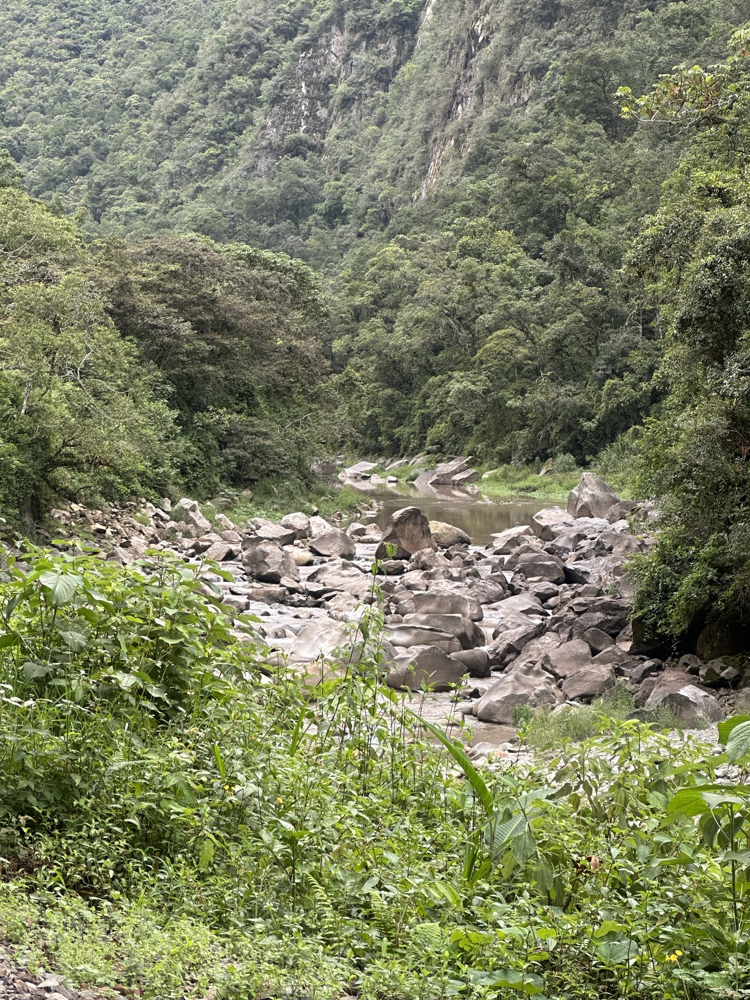 Peru - Image 650