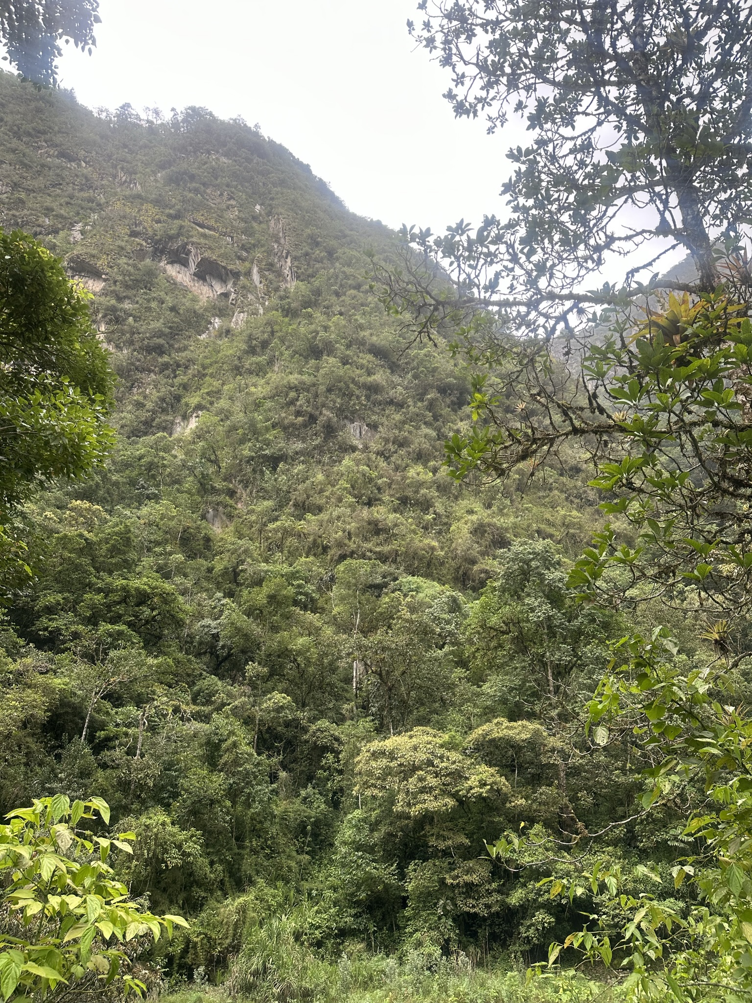 Peru - Image 677