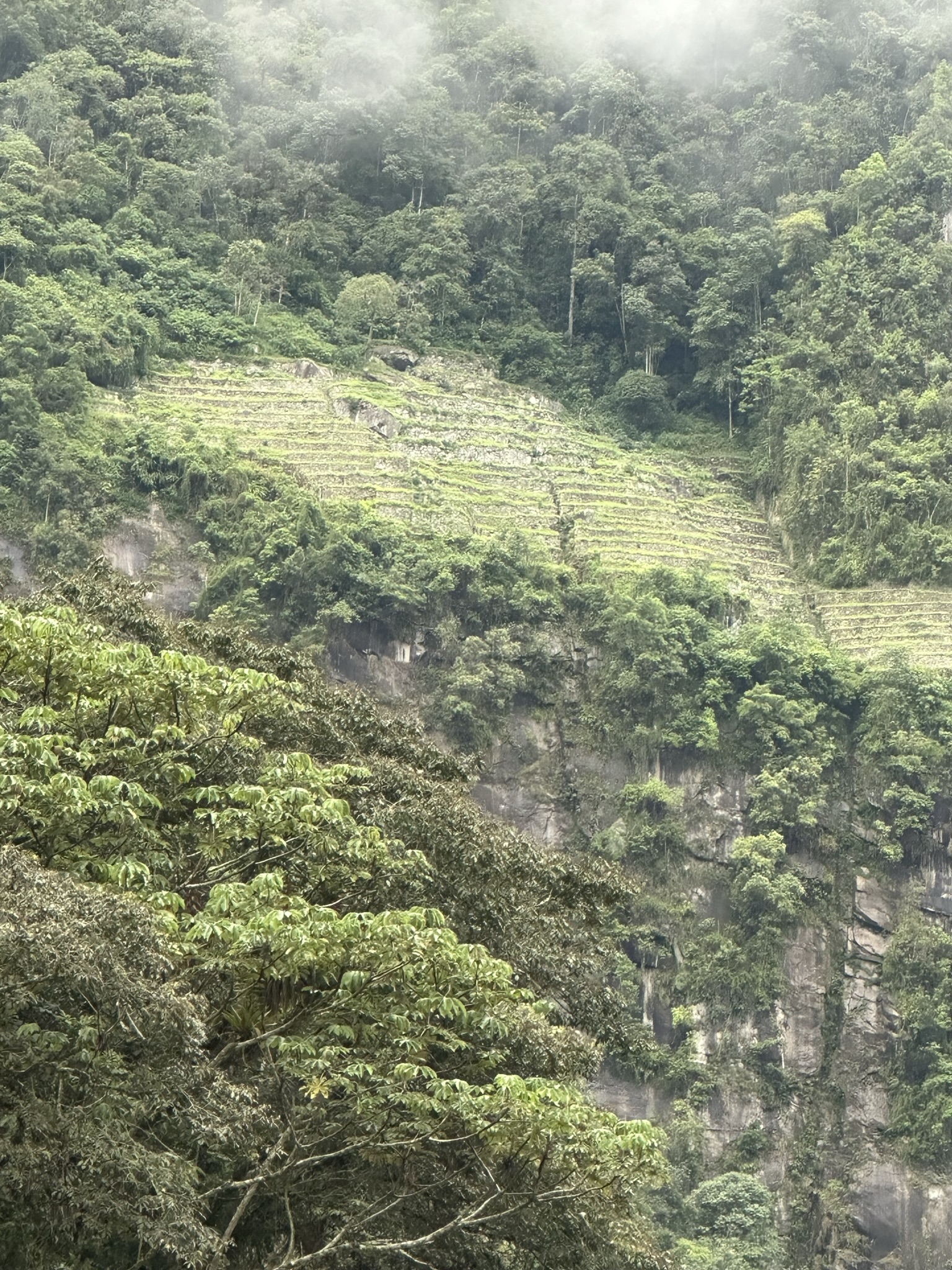 Peru - Image 803