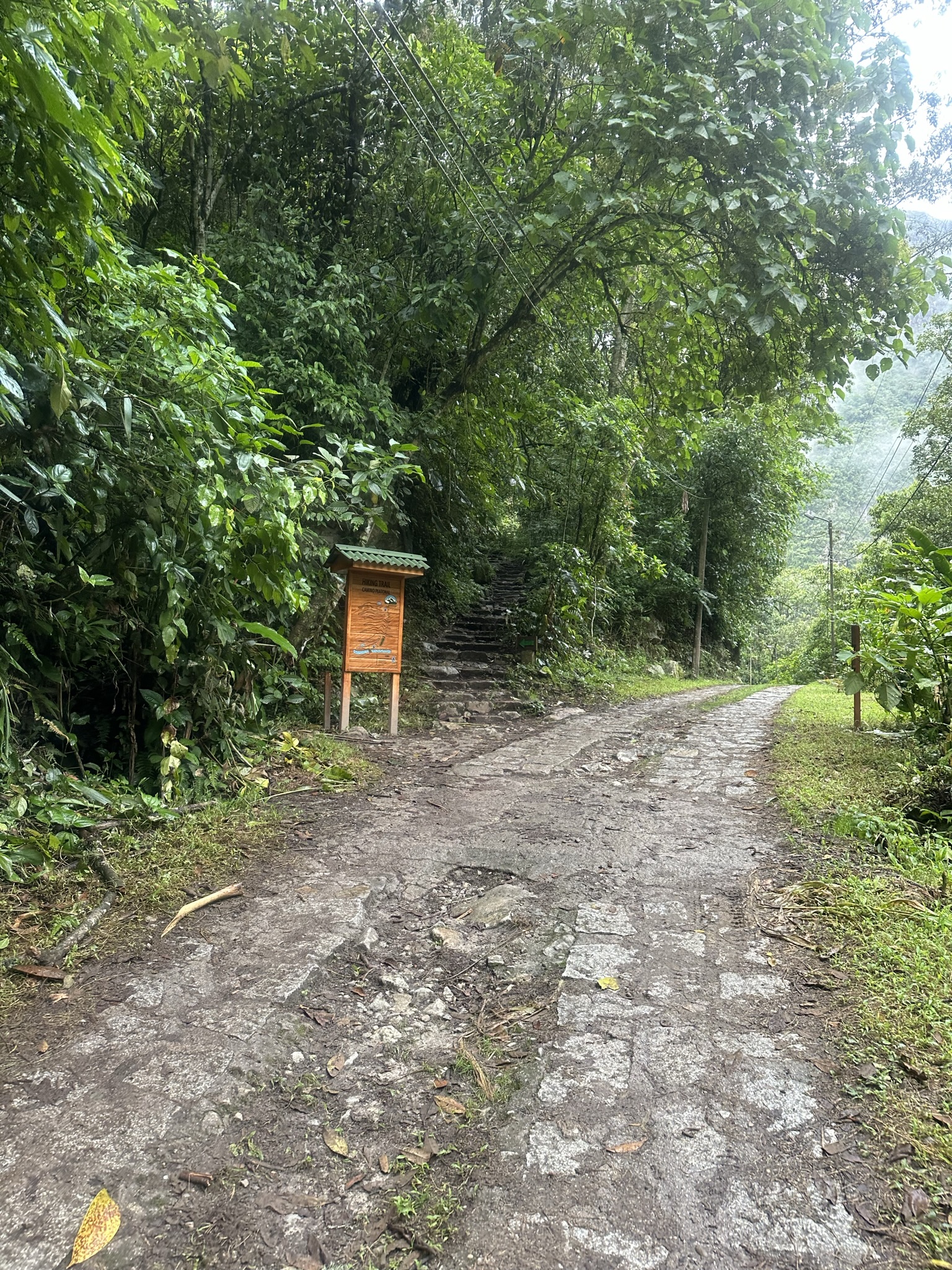 Peru - Image 806