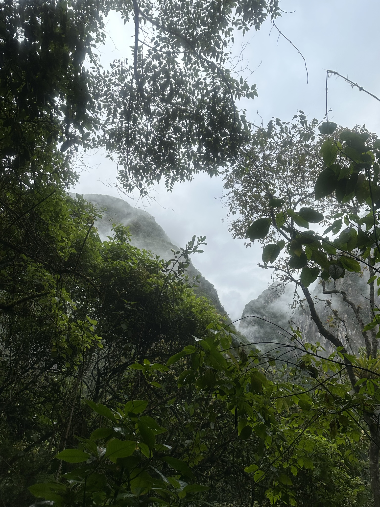 Peru - Image 811