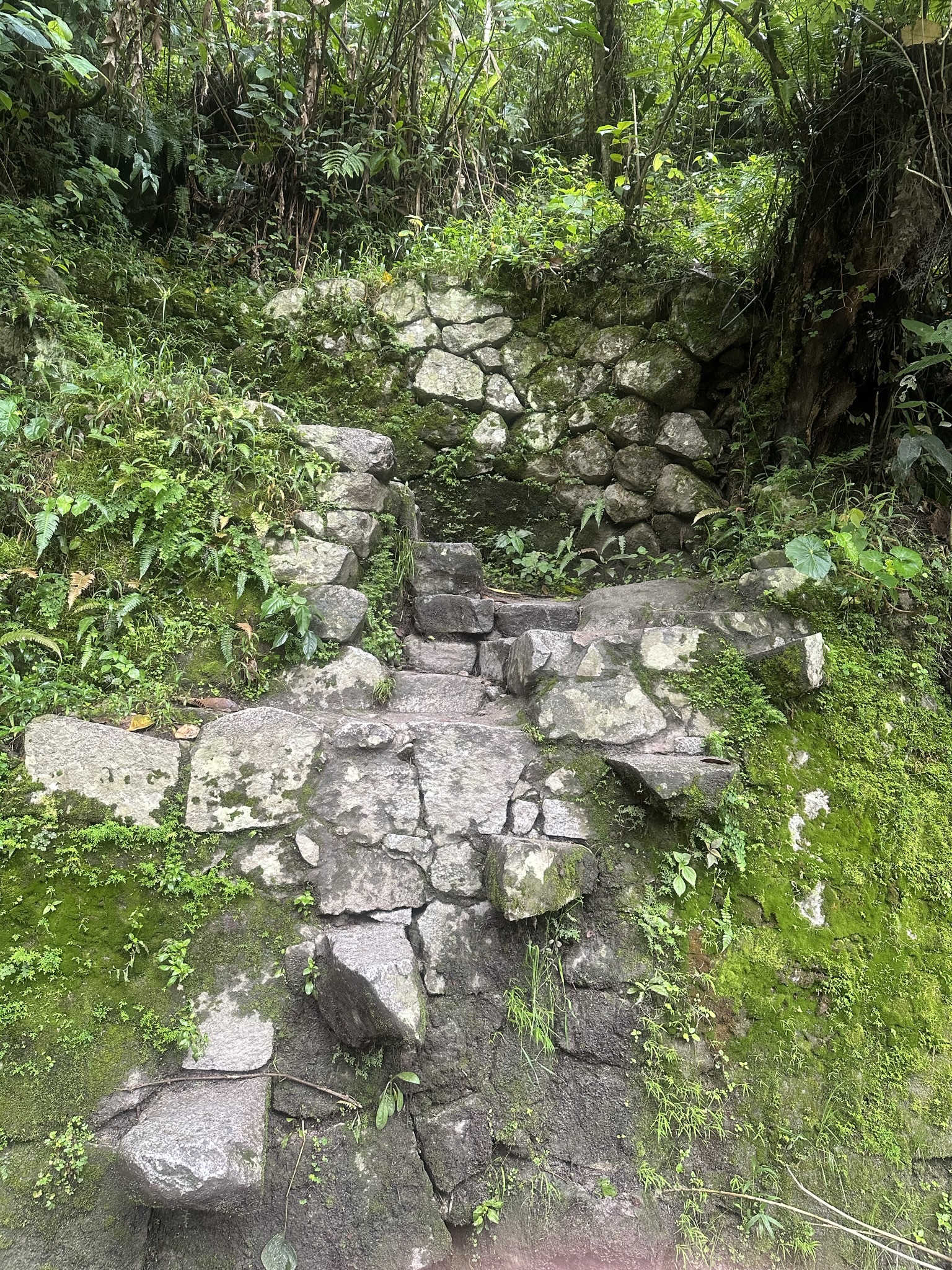Peru - Image 812