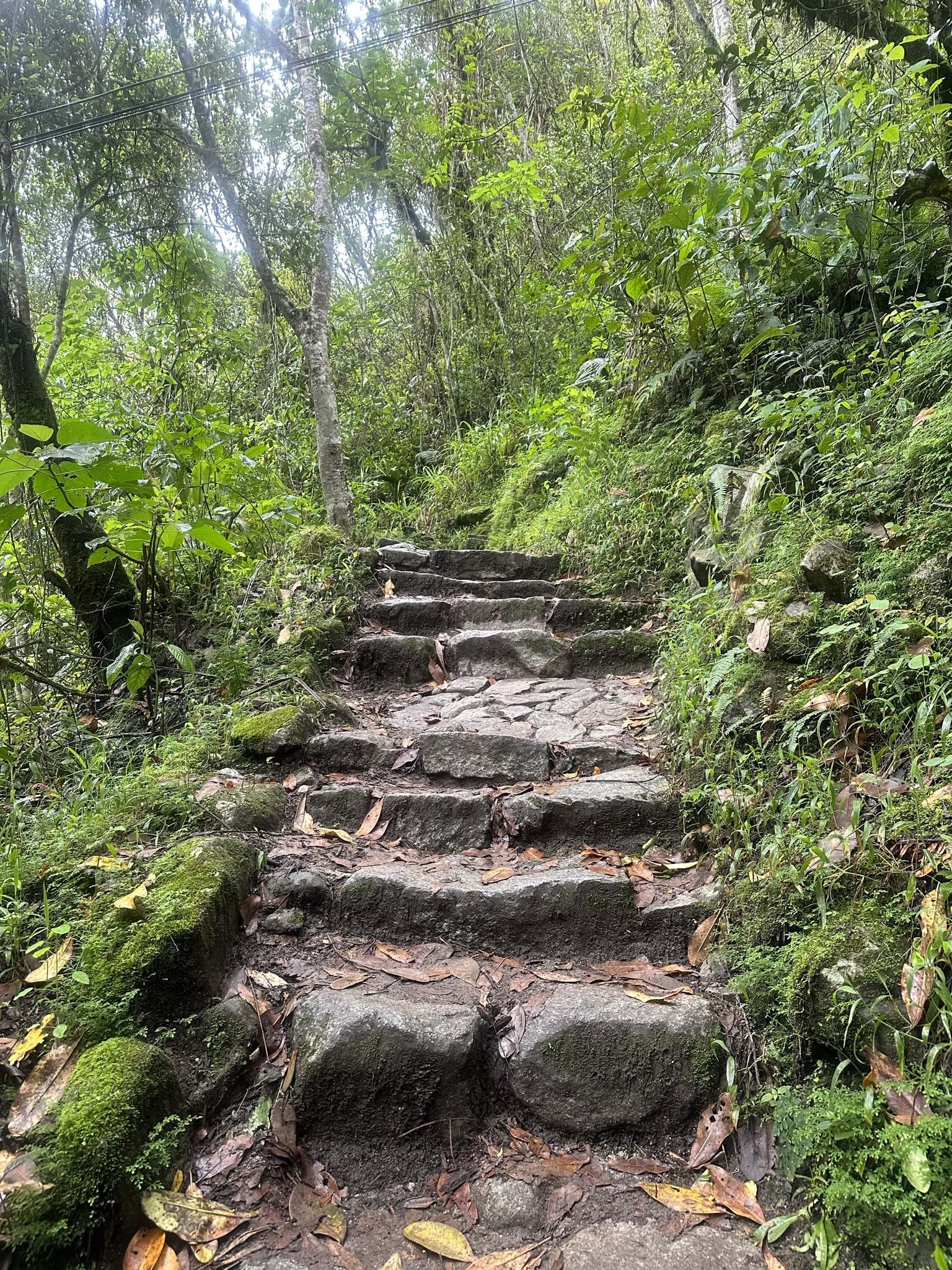 Peru - Image 814
