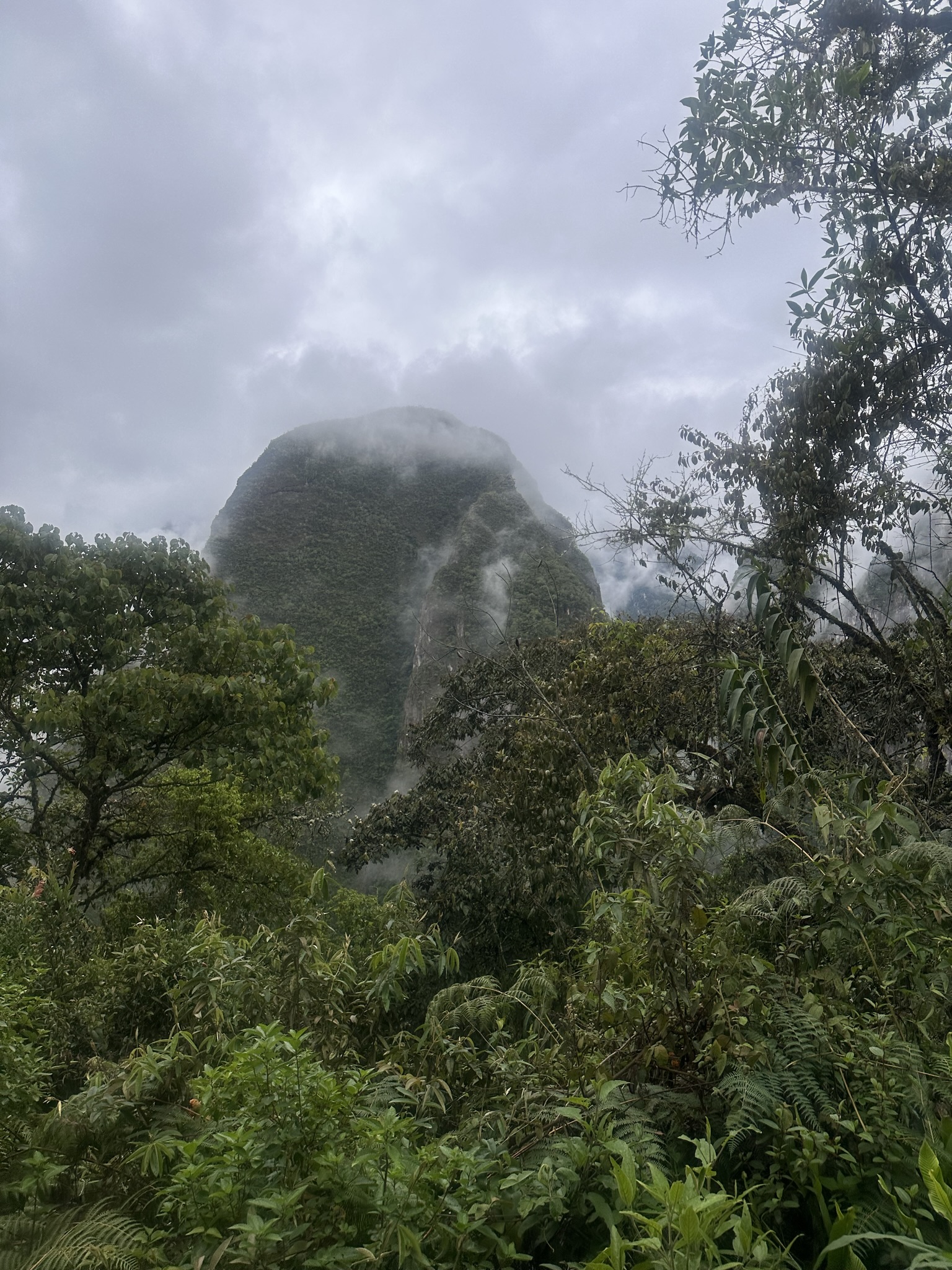 Peru - Image 815