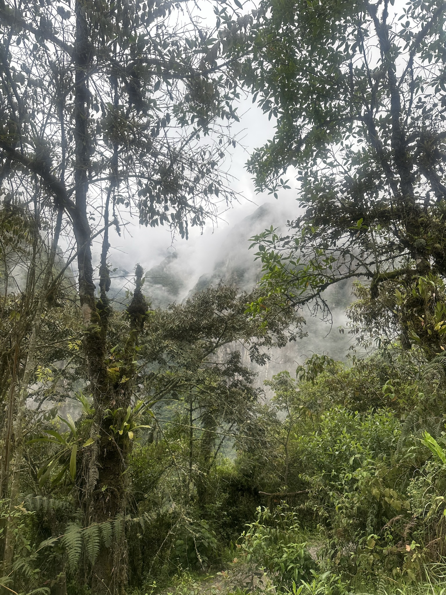 Peru - Image 816