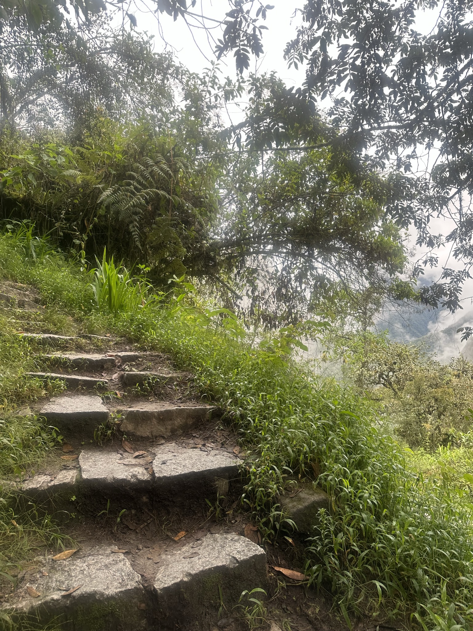 Peru - Image 817
