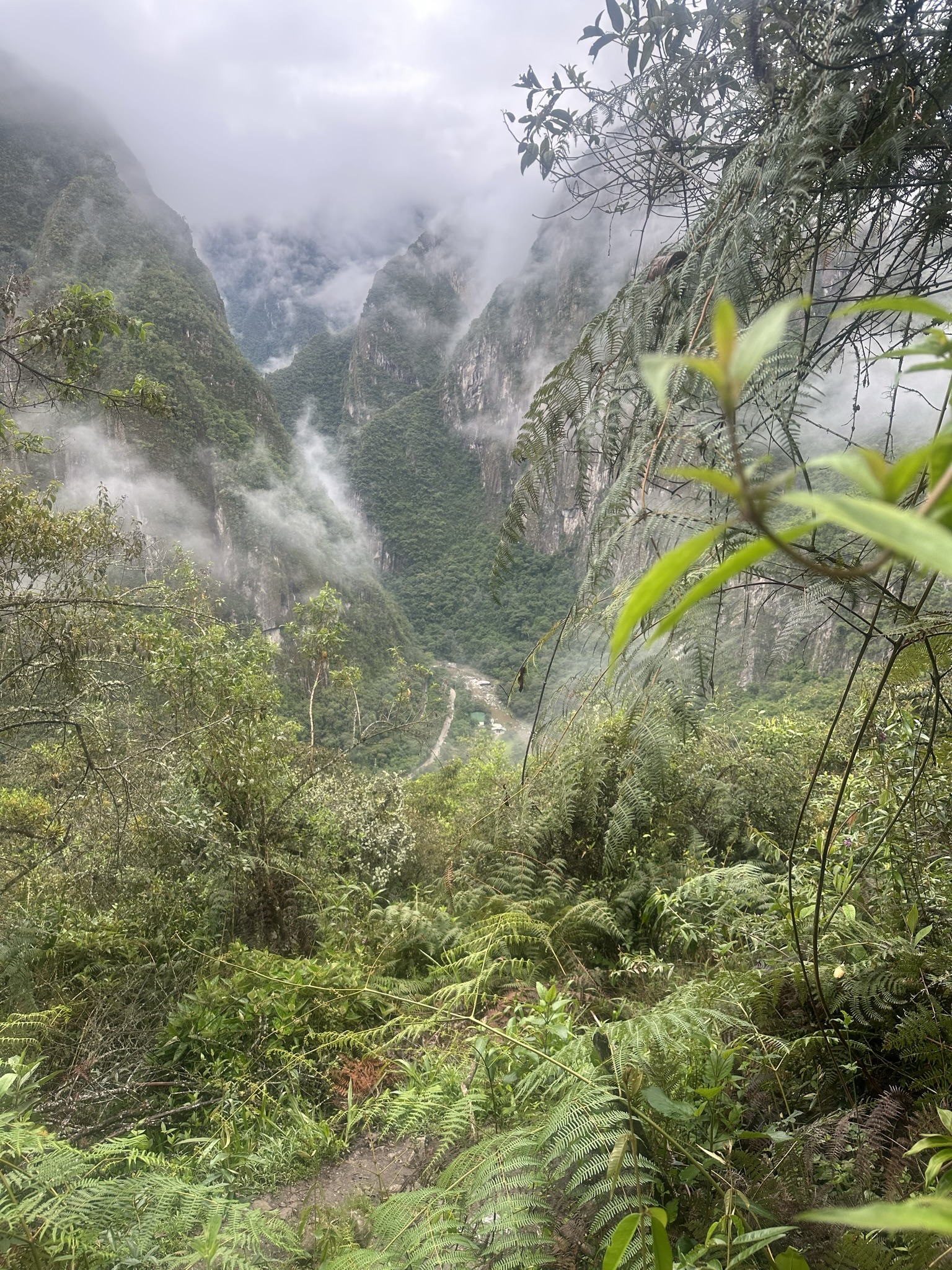 Peru - Image 818