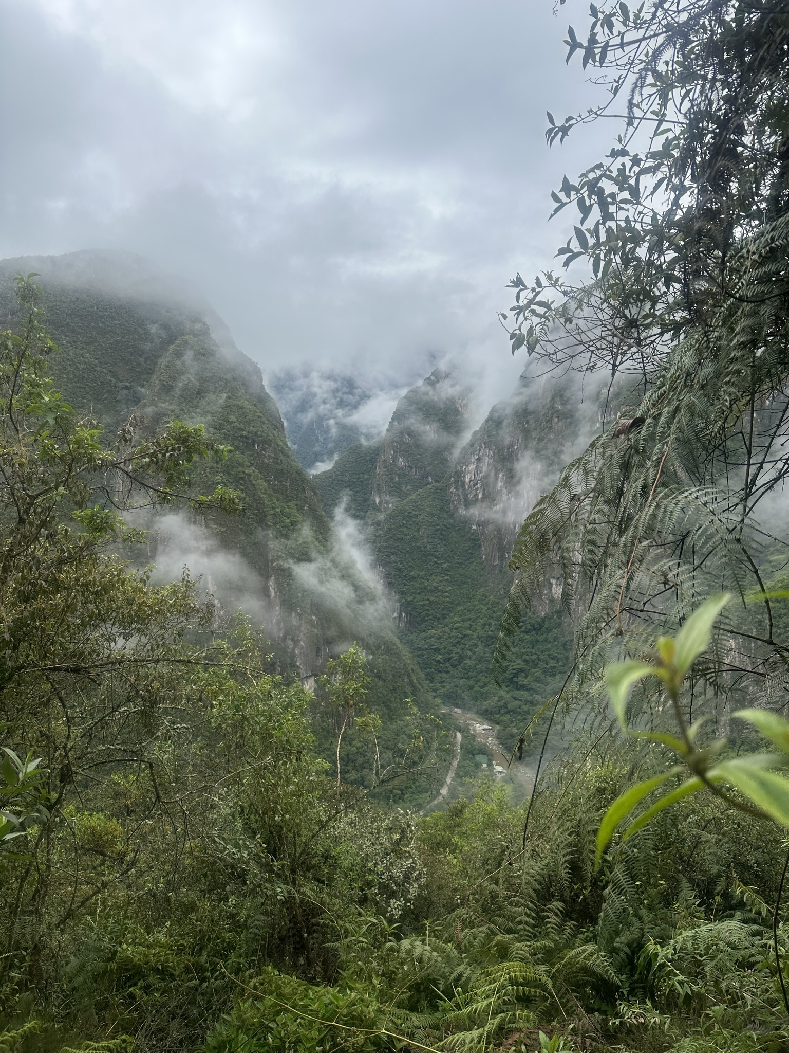 Peru - Image 819