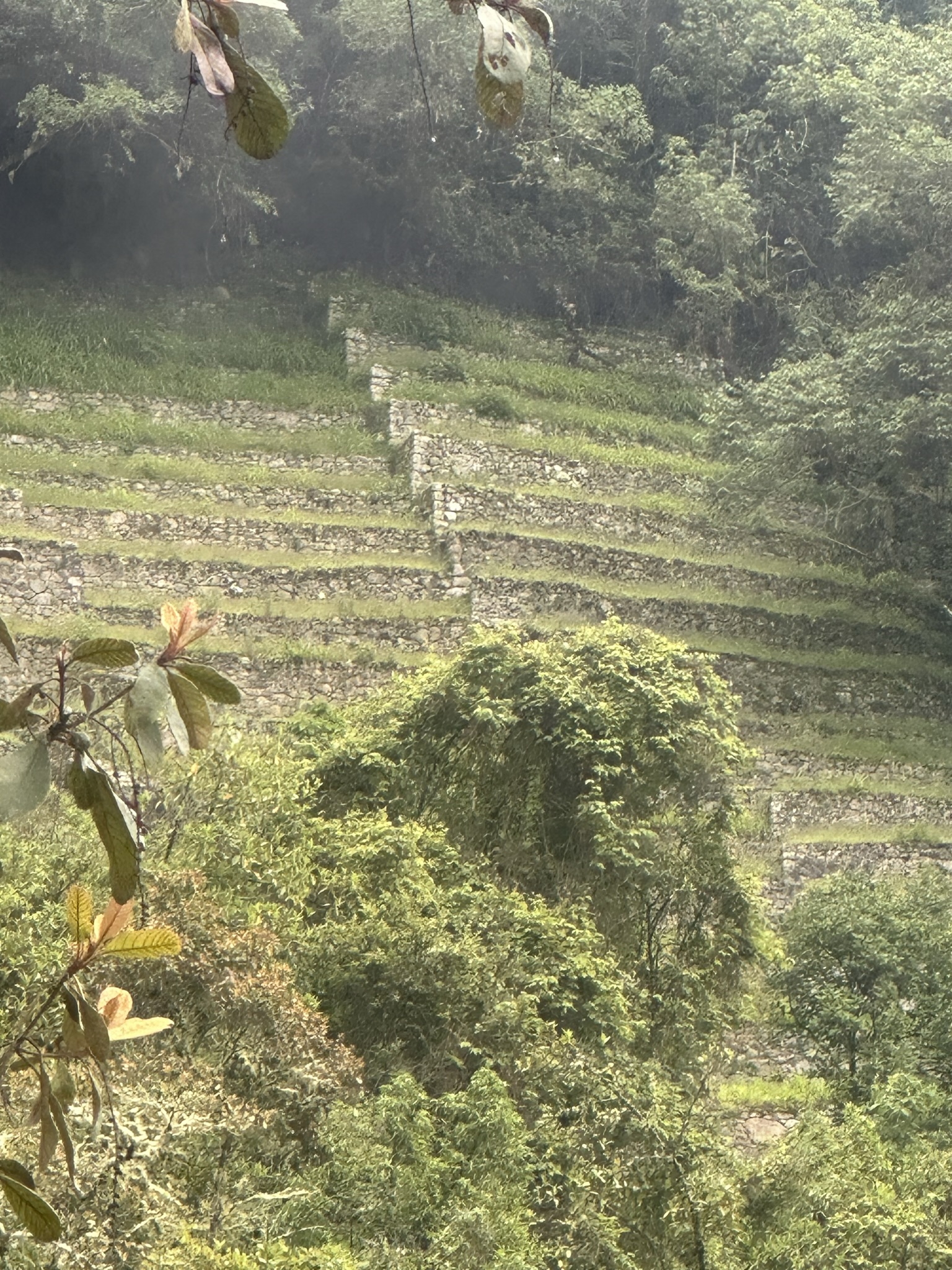 Peru - Image 822