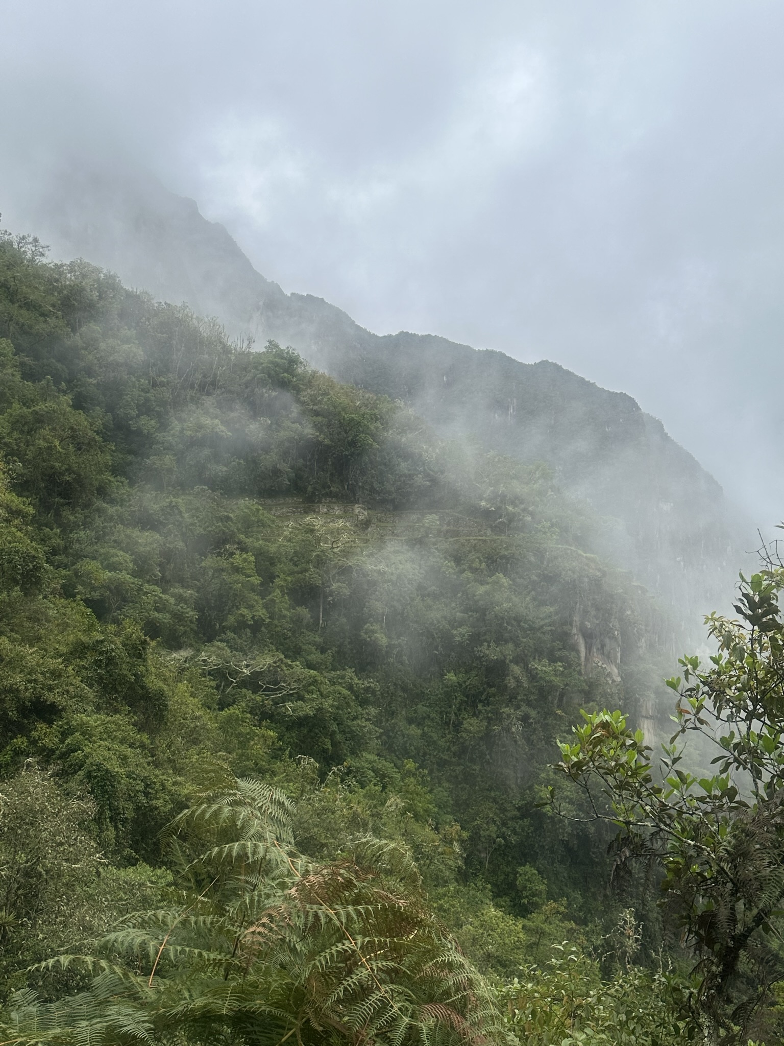Peru - Image 824